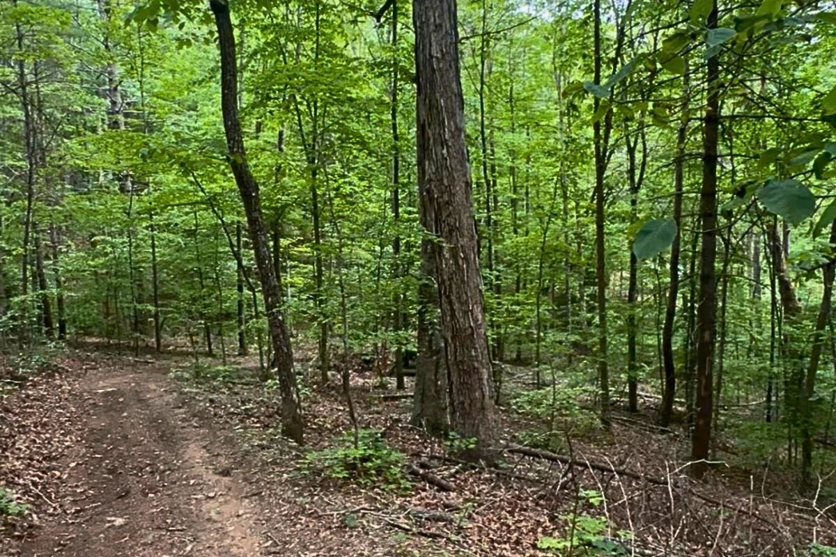 3994 Yates RD - Photo 27