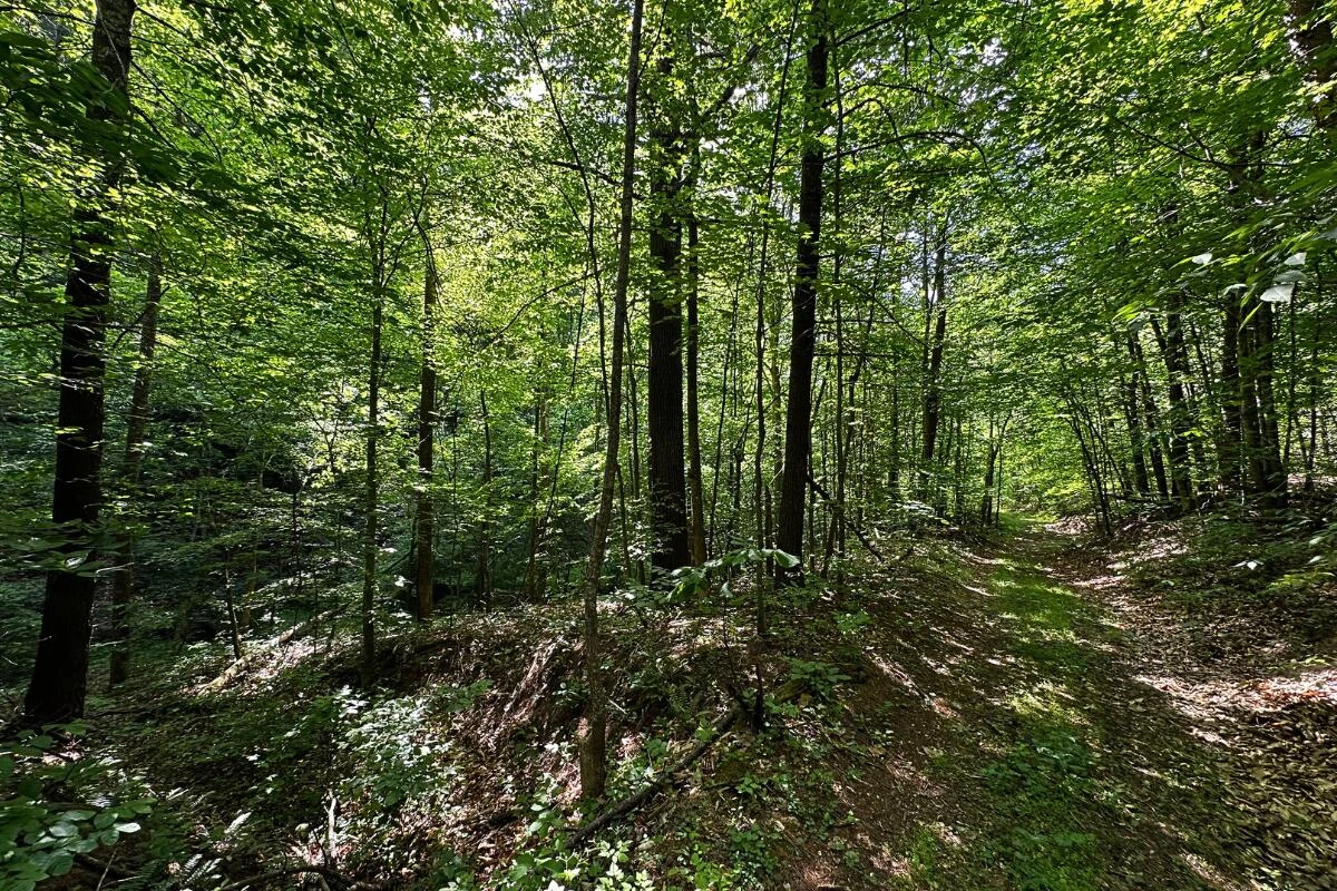 3994 Yates RD - Photo 30
