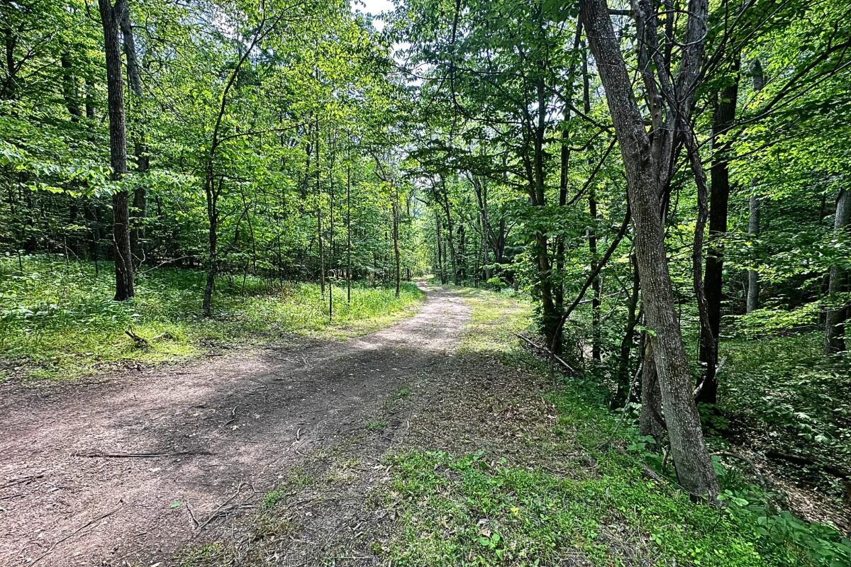 3994 Yates RD - Photo 4