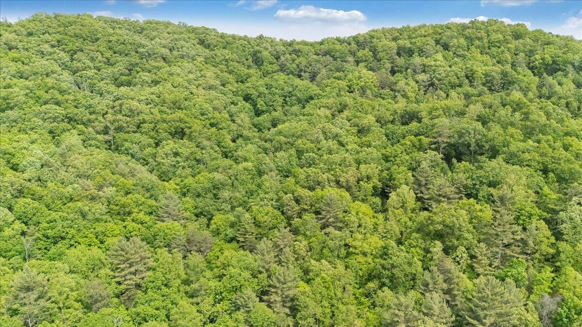 3994 Yates RD - Photo 7