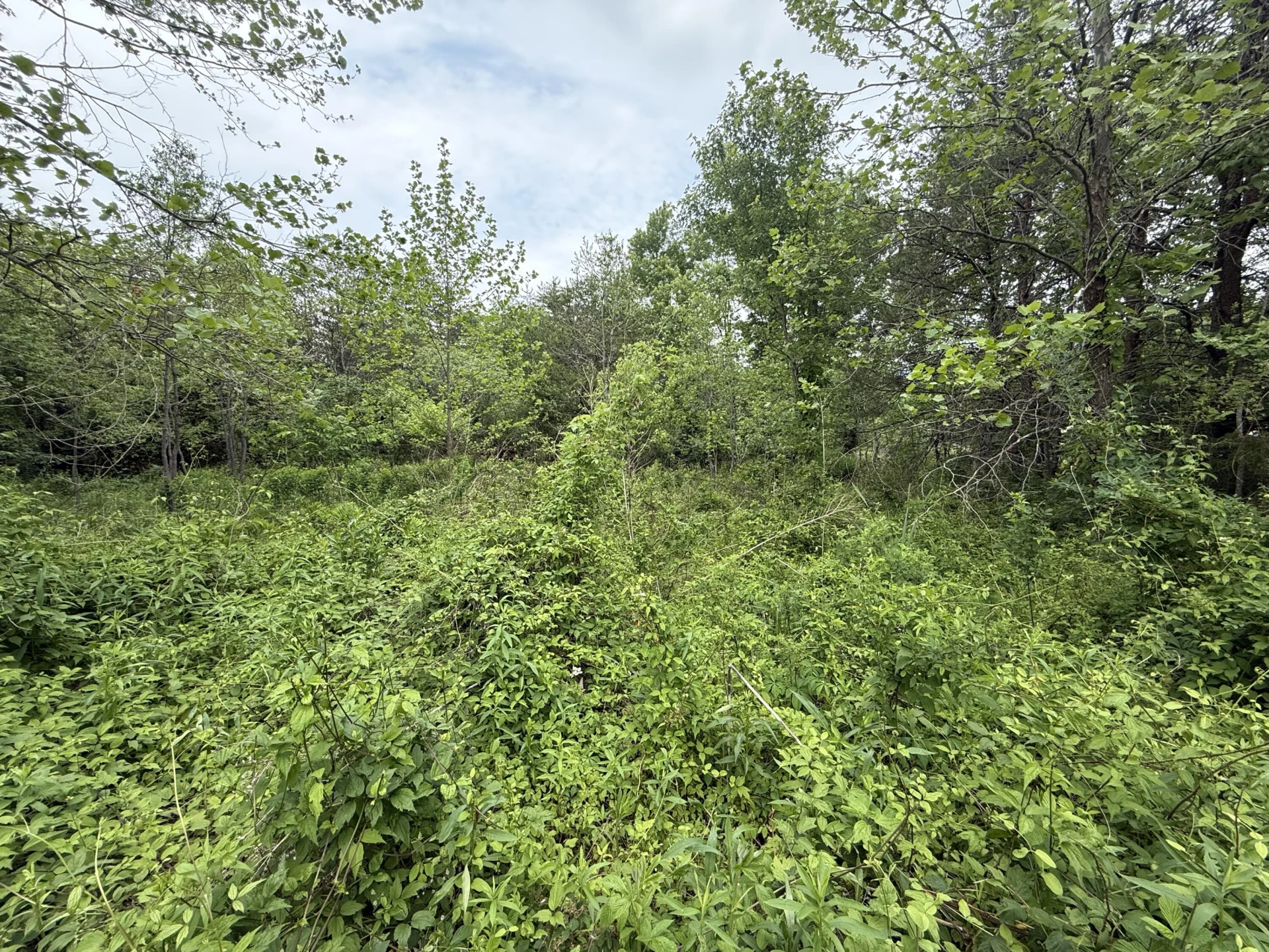 0 John Mason RD - Photo 2