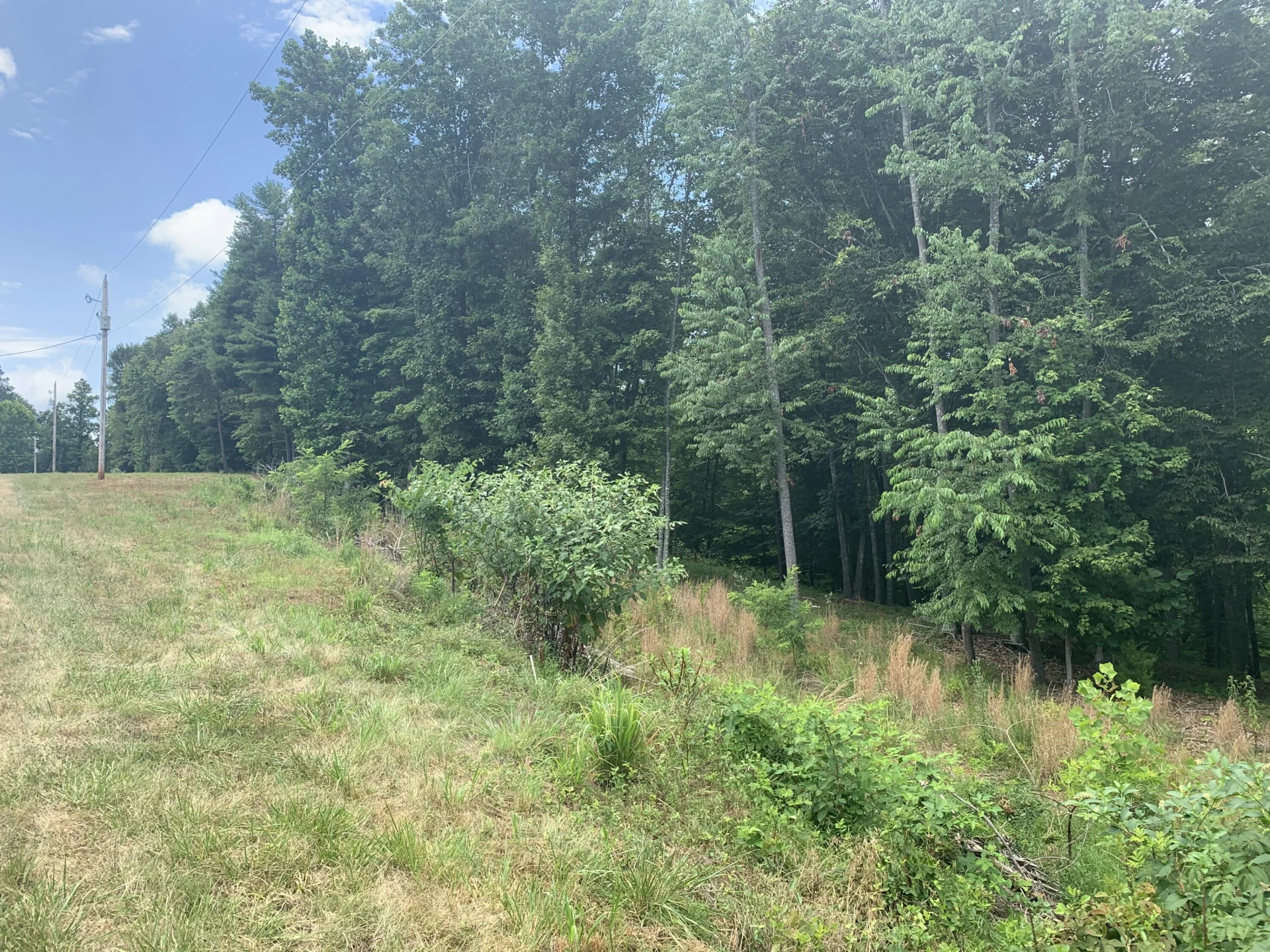 Lot 6 Mountain Top DR