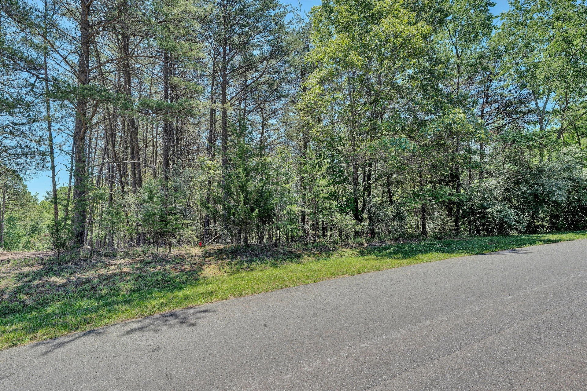 Lot 11 Bridgewater LN - Photo 11