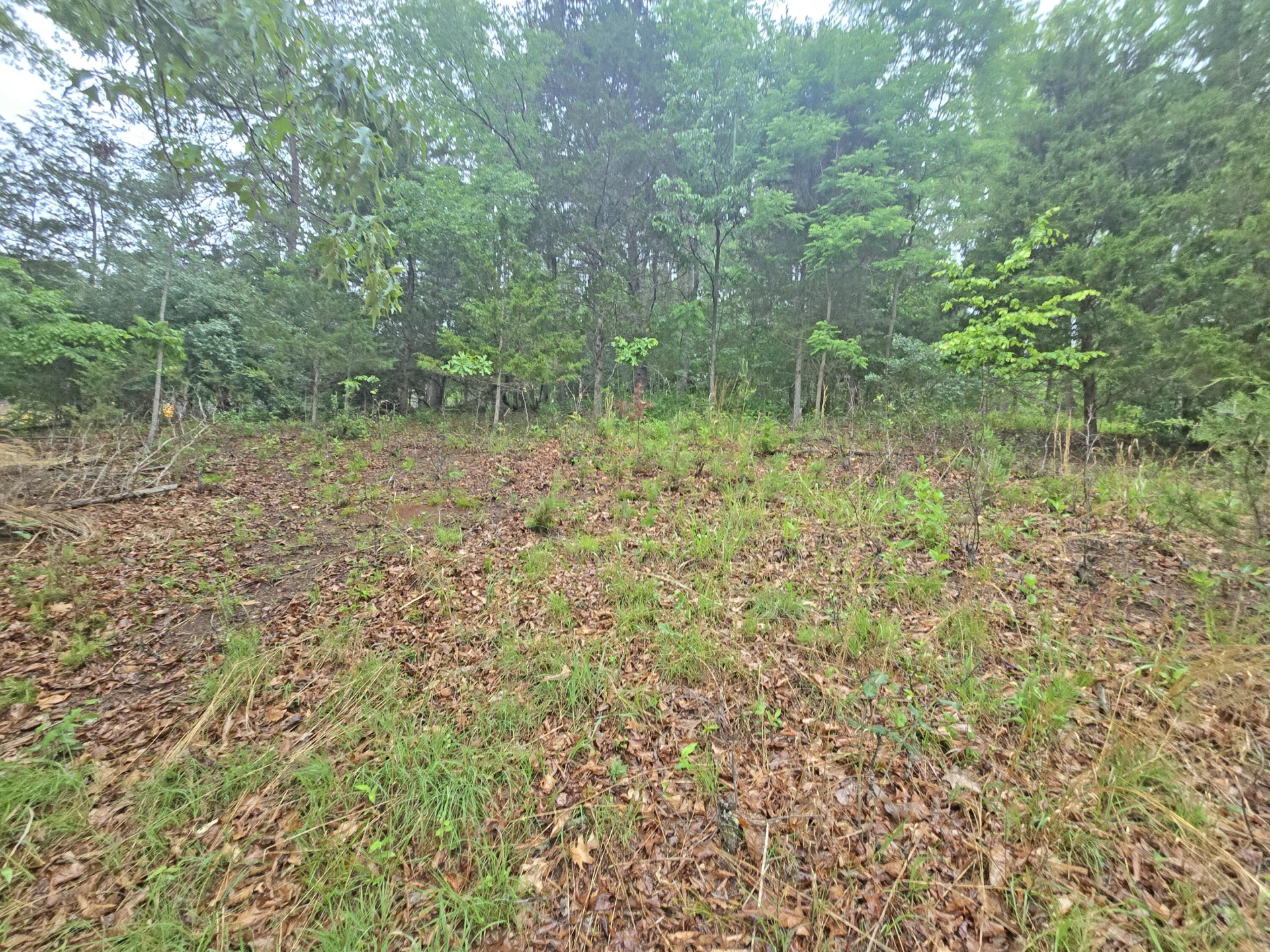 Lot 11 Bridgewater LN - Photo 12