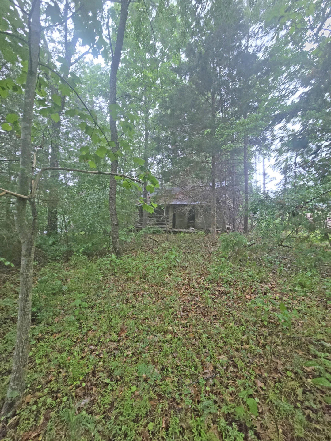 Lot 11 Bridgewater LN - Photo 13