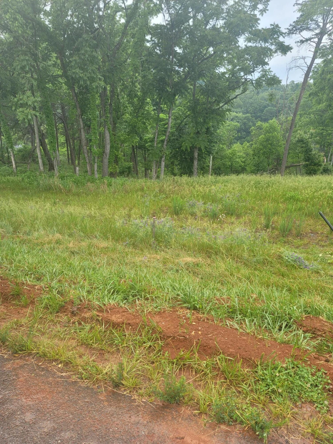 1953 Moorman RD - Photo 4
