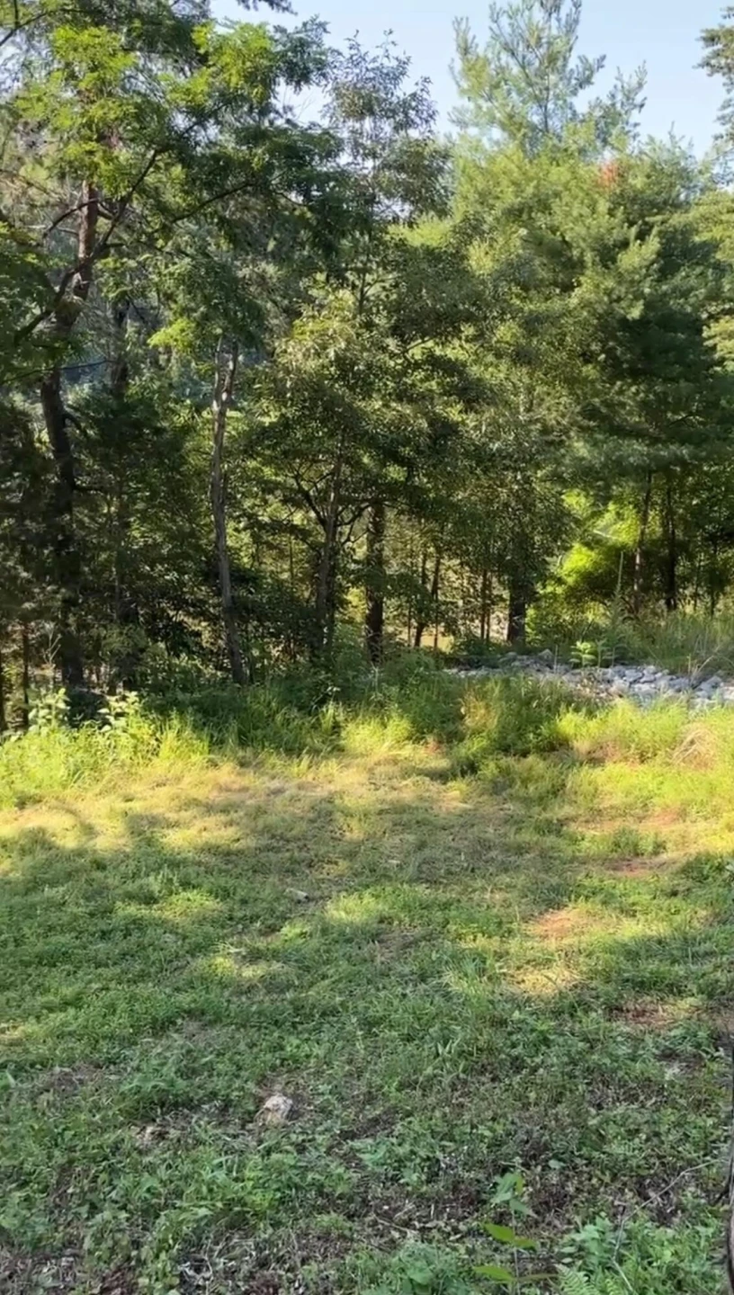 1953 Moorman RD - Photo 9