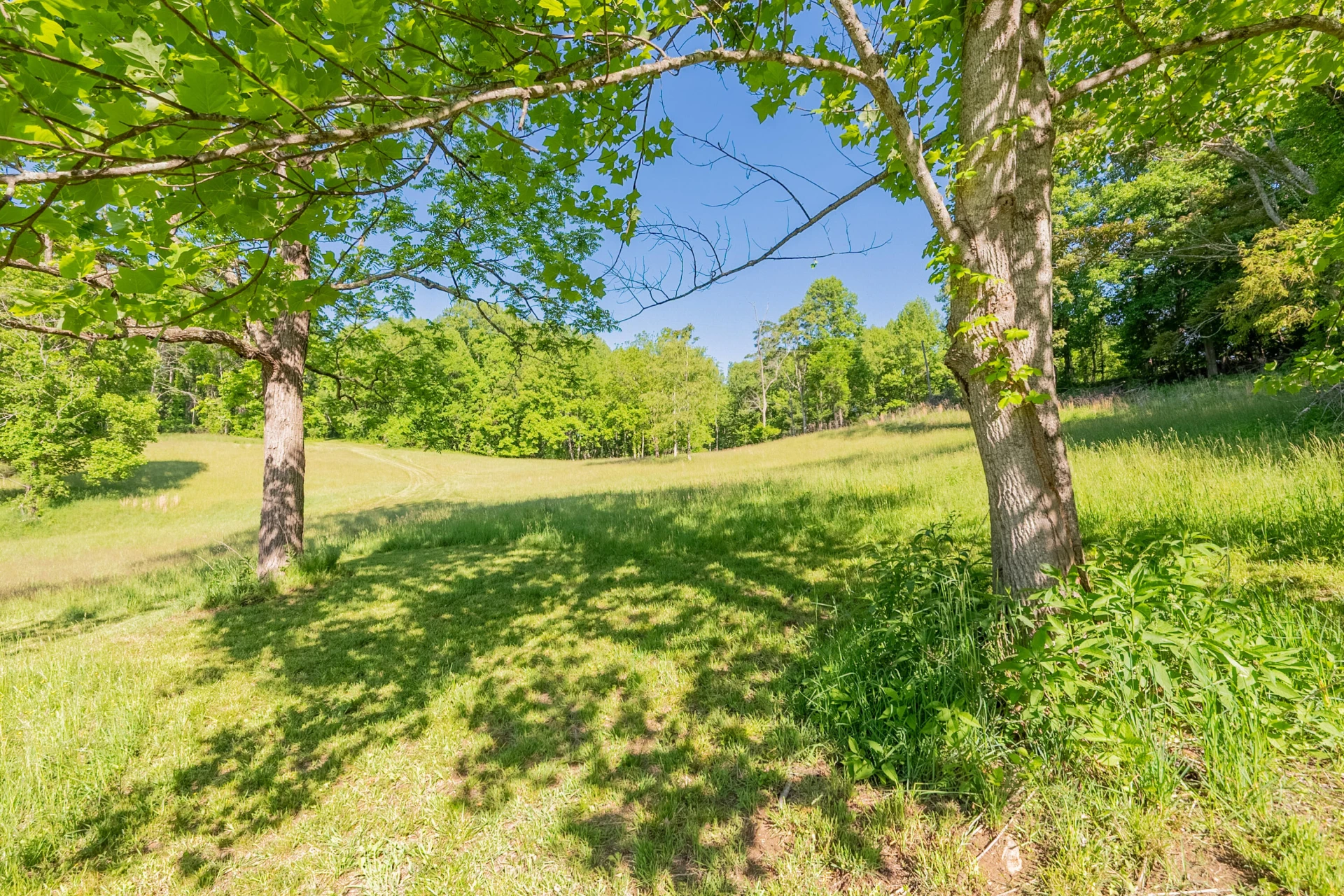 8730 Lee DR NE - Photo 26