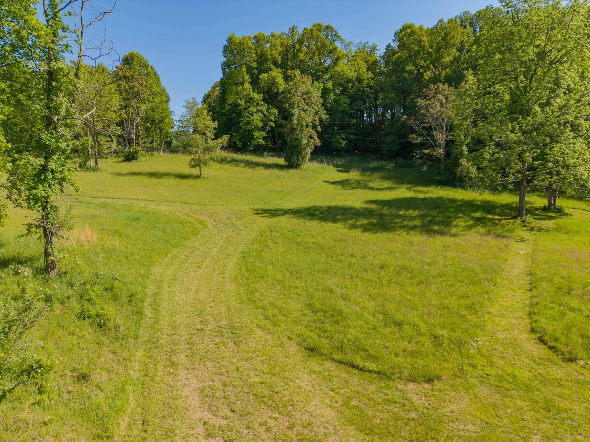 8730 Lee DR NE - Photo 3