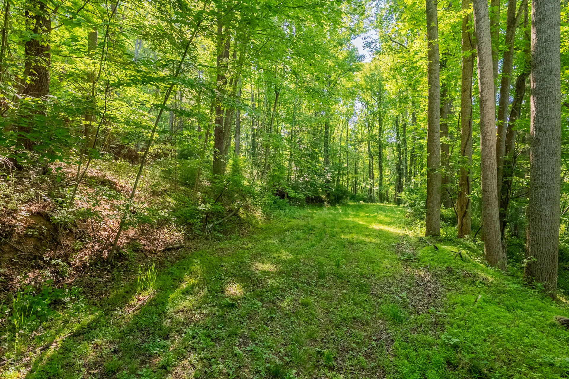 8730 Lee DR NE - Photo 30