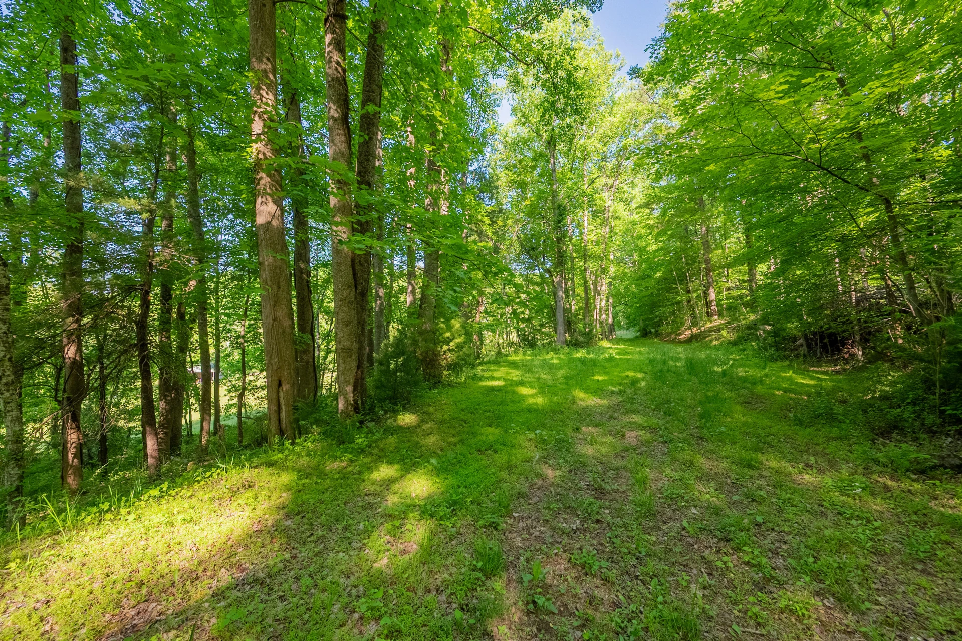 8730 Lee DR NE - Photo 31
