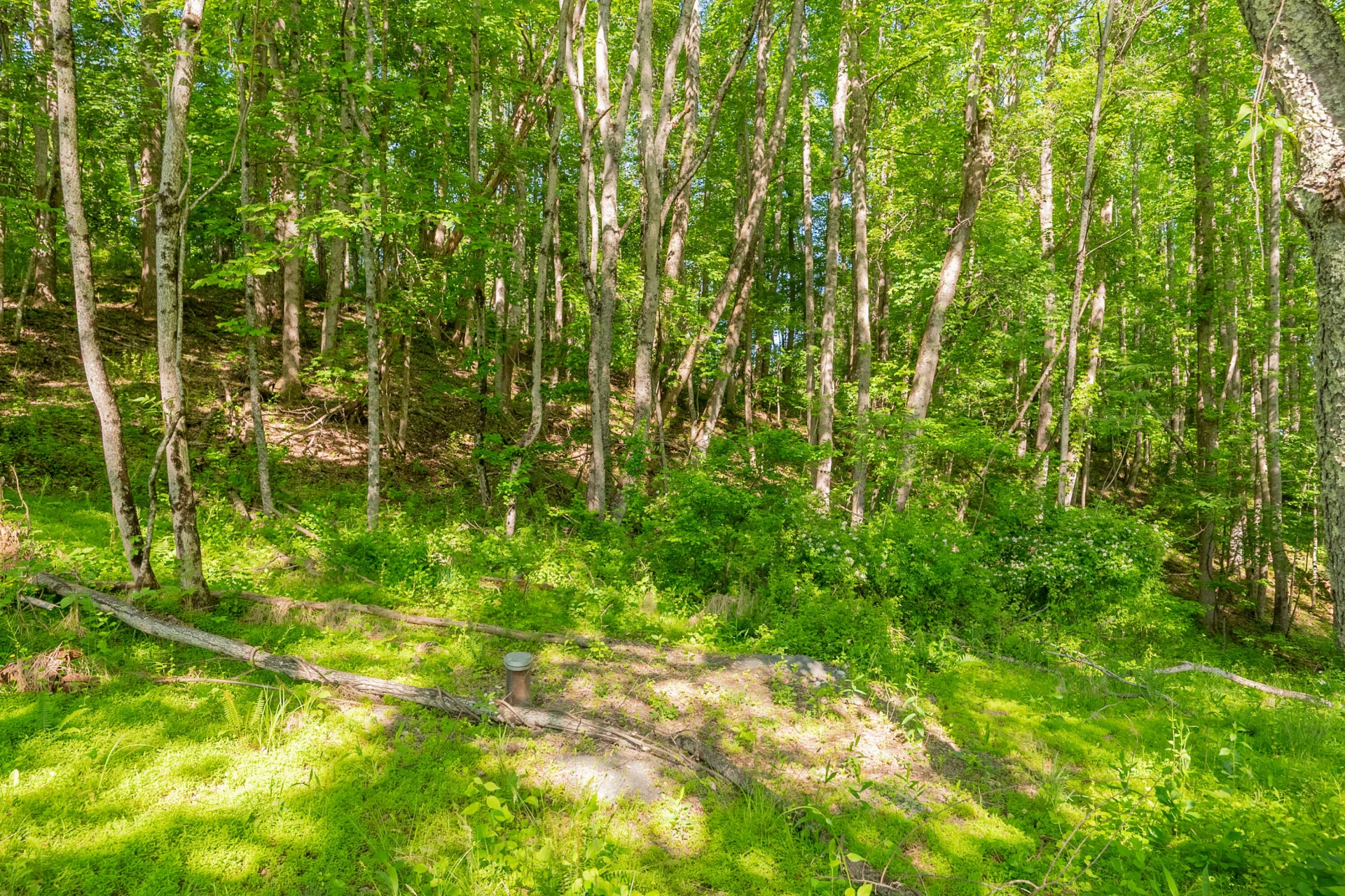 8730 Lee DR NE - Photo 35