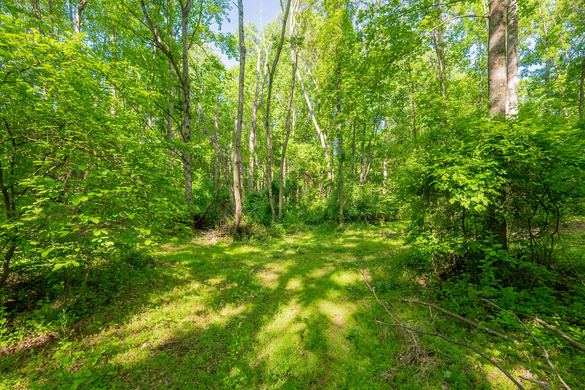 8730 Lee DR NE - Photo 41