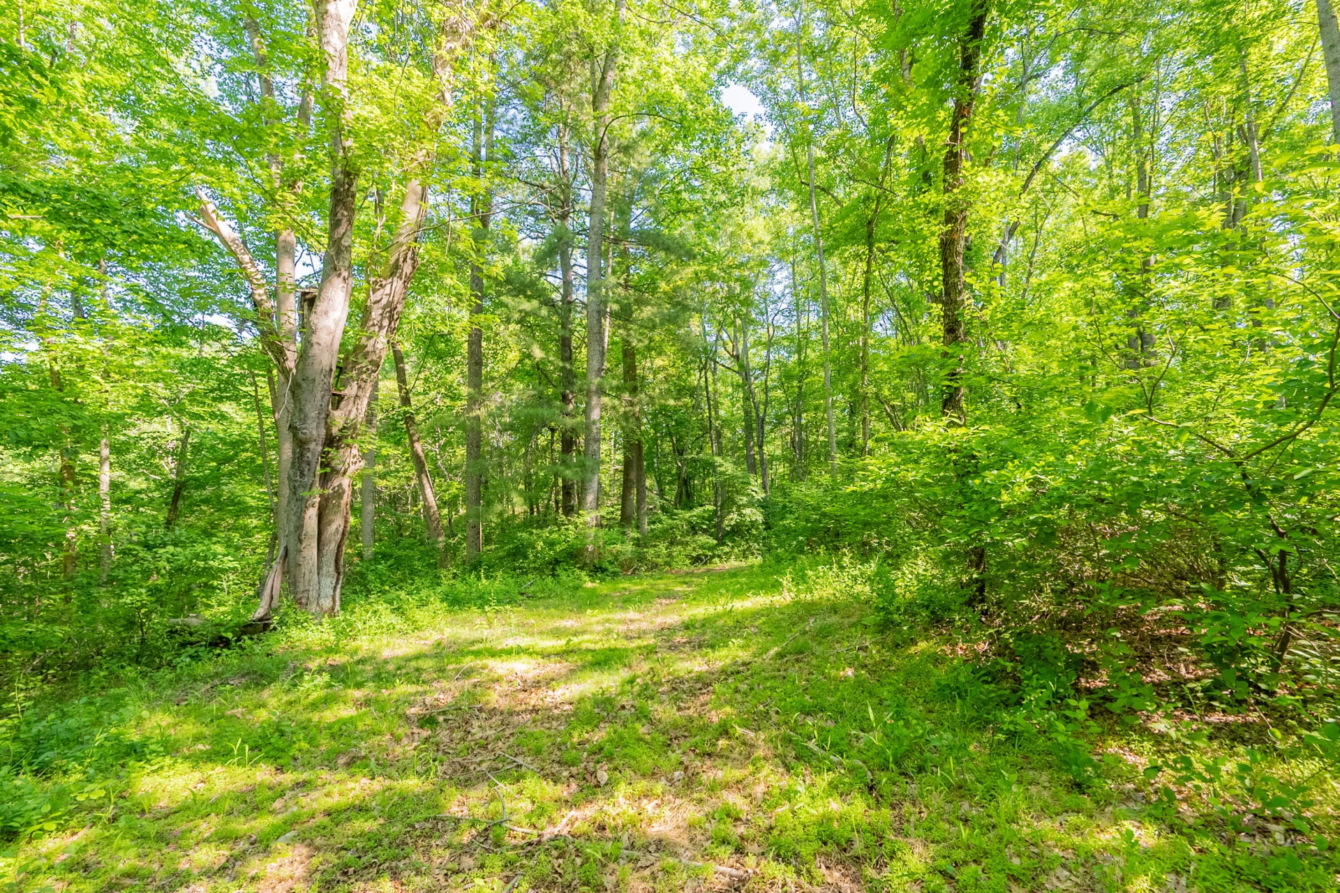 8730 Lee DR NE - Photo 42