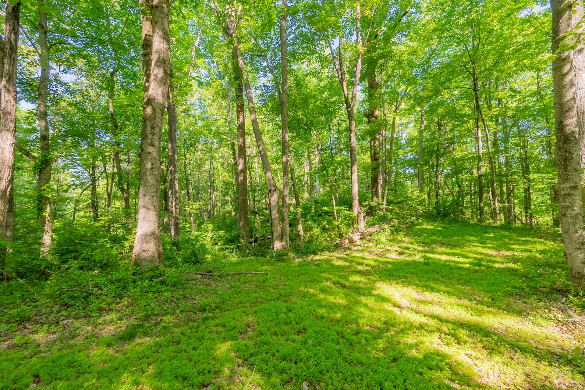 8730 Lee DR NE - Photo 45