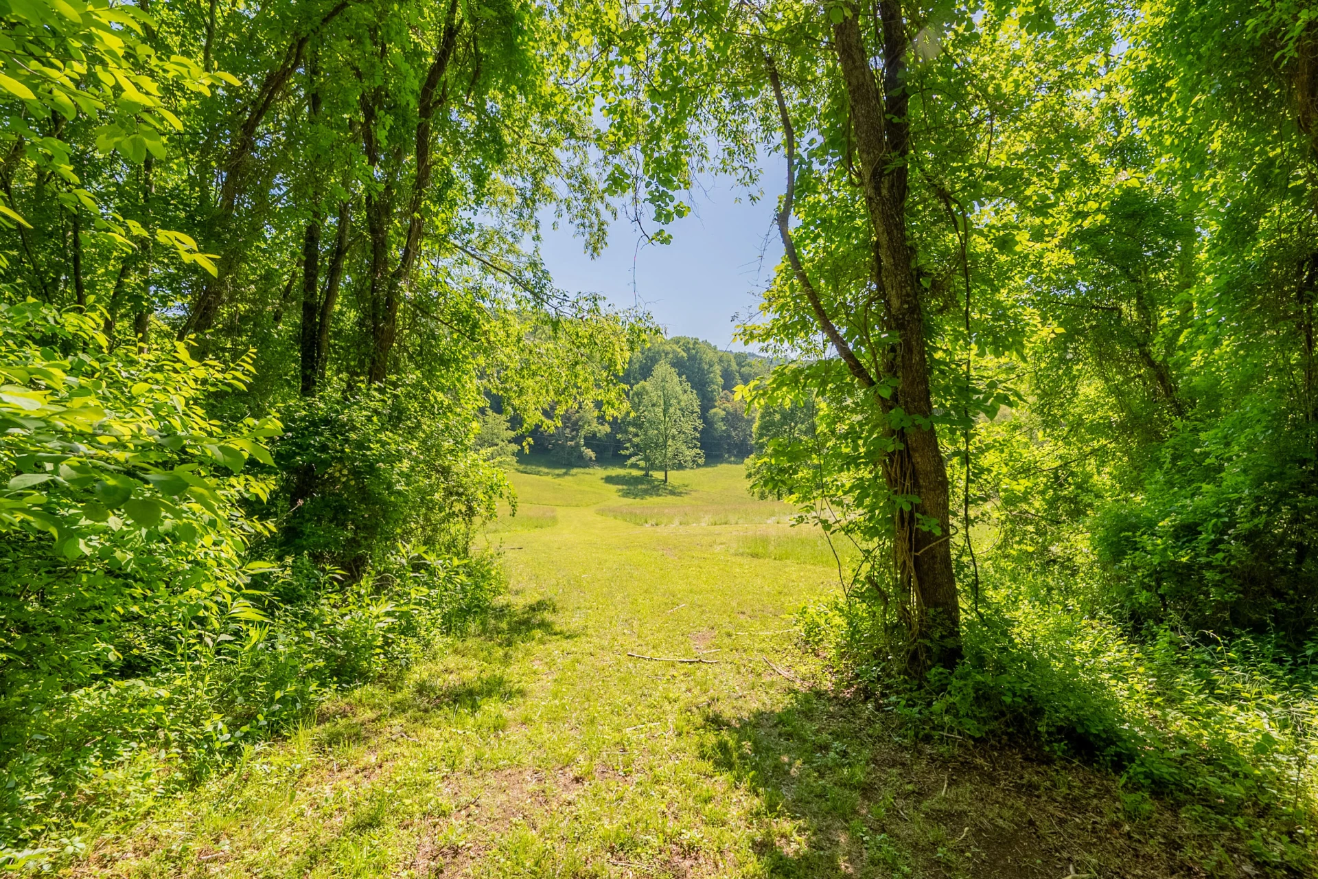 8730 Lee DR NE - Photo 46