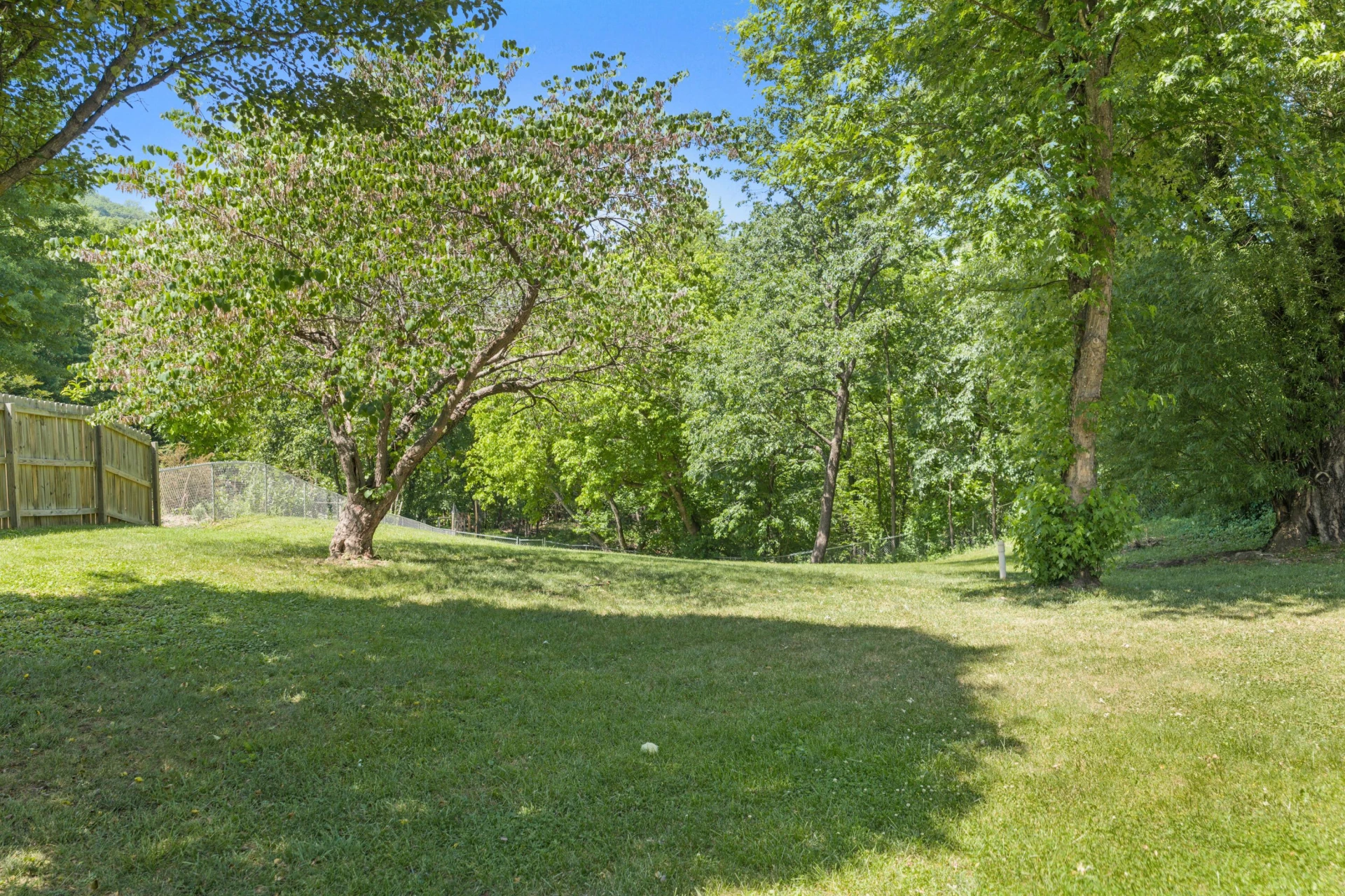 294 Ray ST - Photo 8