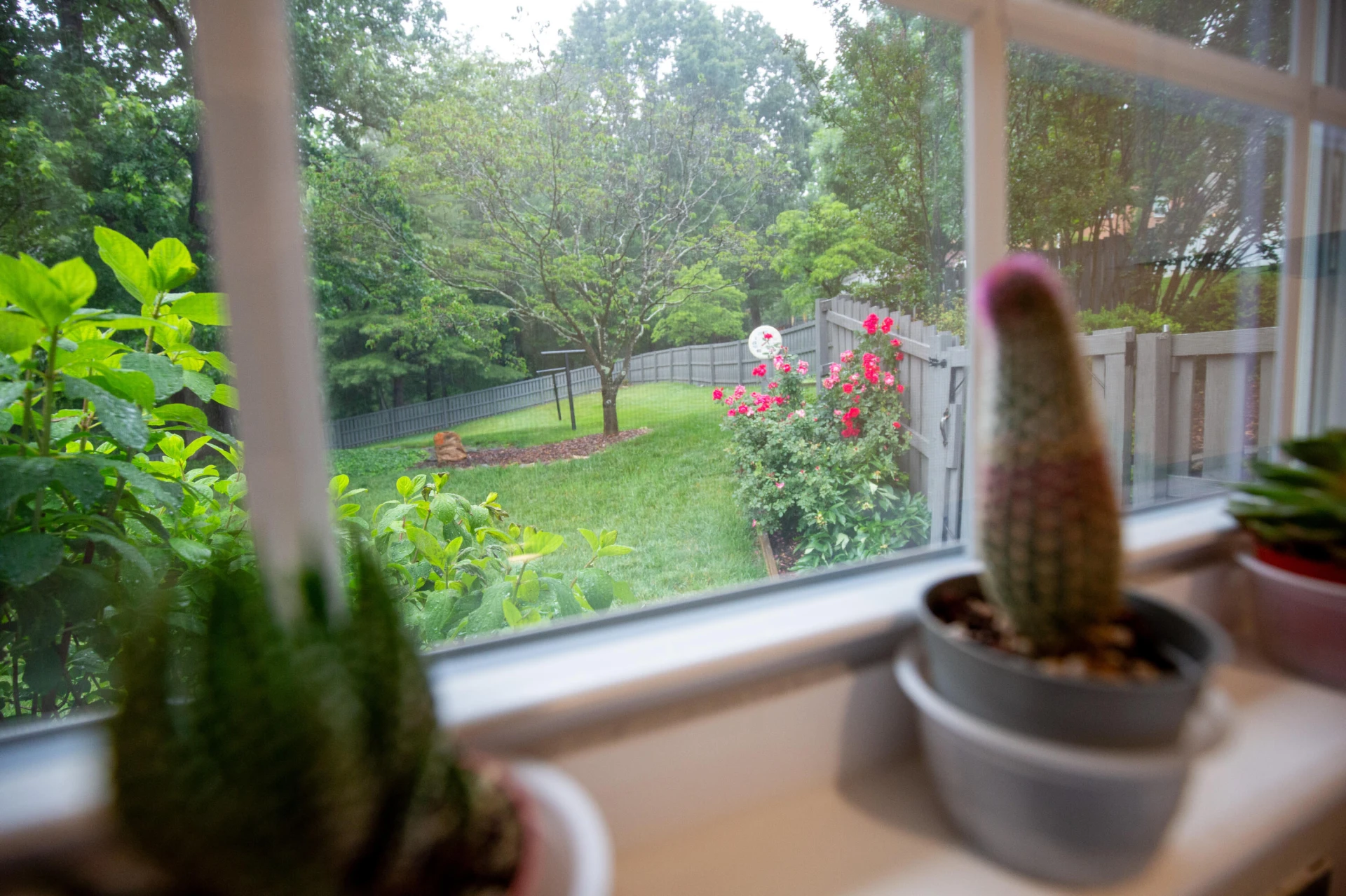 5333 Fordwick DR - Photo 8