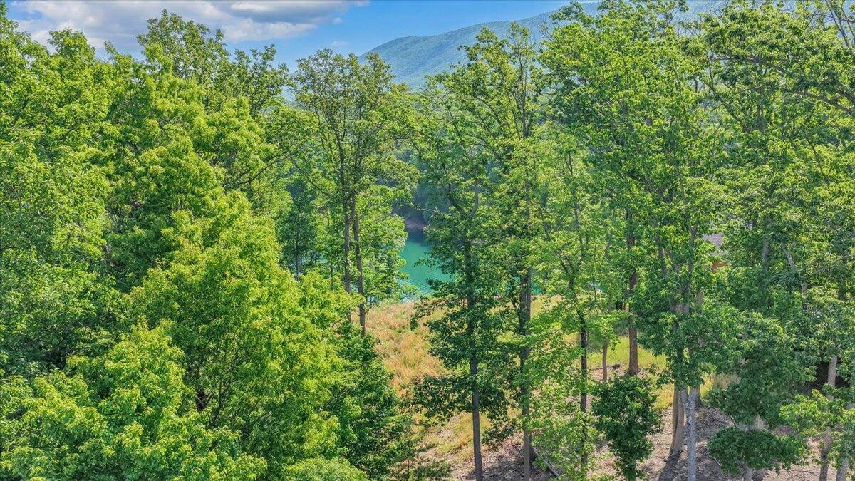 Lot 4 Sweetwater Bay DR - Photo 24