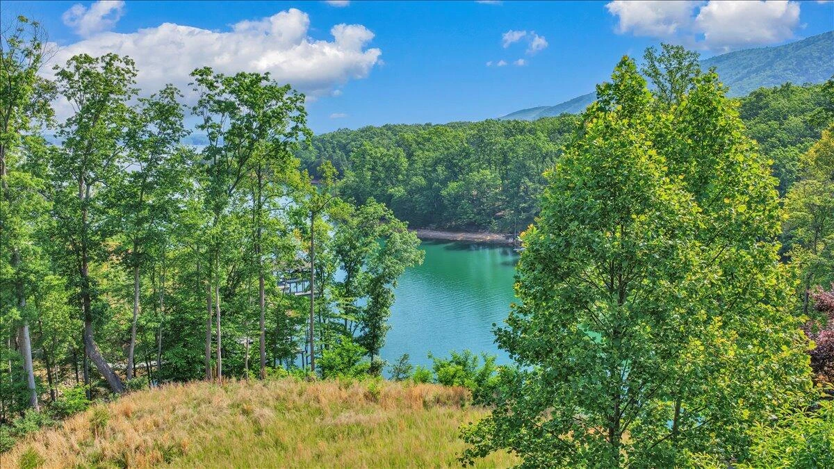 Lot 4 Sweetwater Bay DR - Photo 26