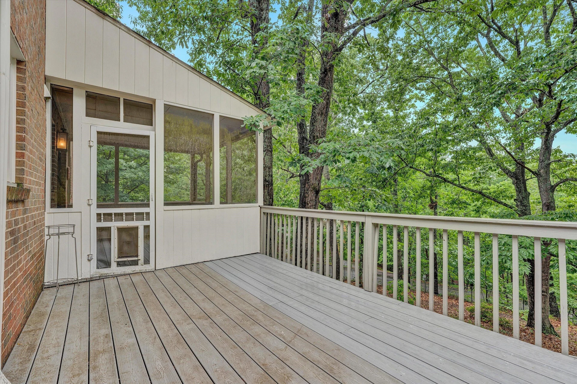 5206 Hawkbill CIR - Photo 17