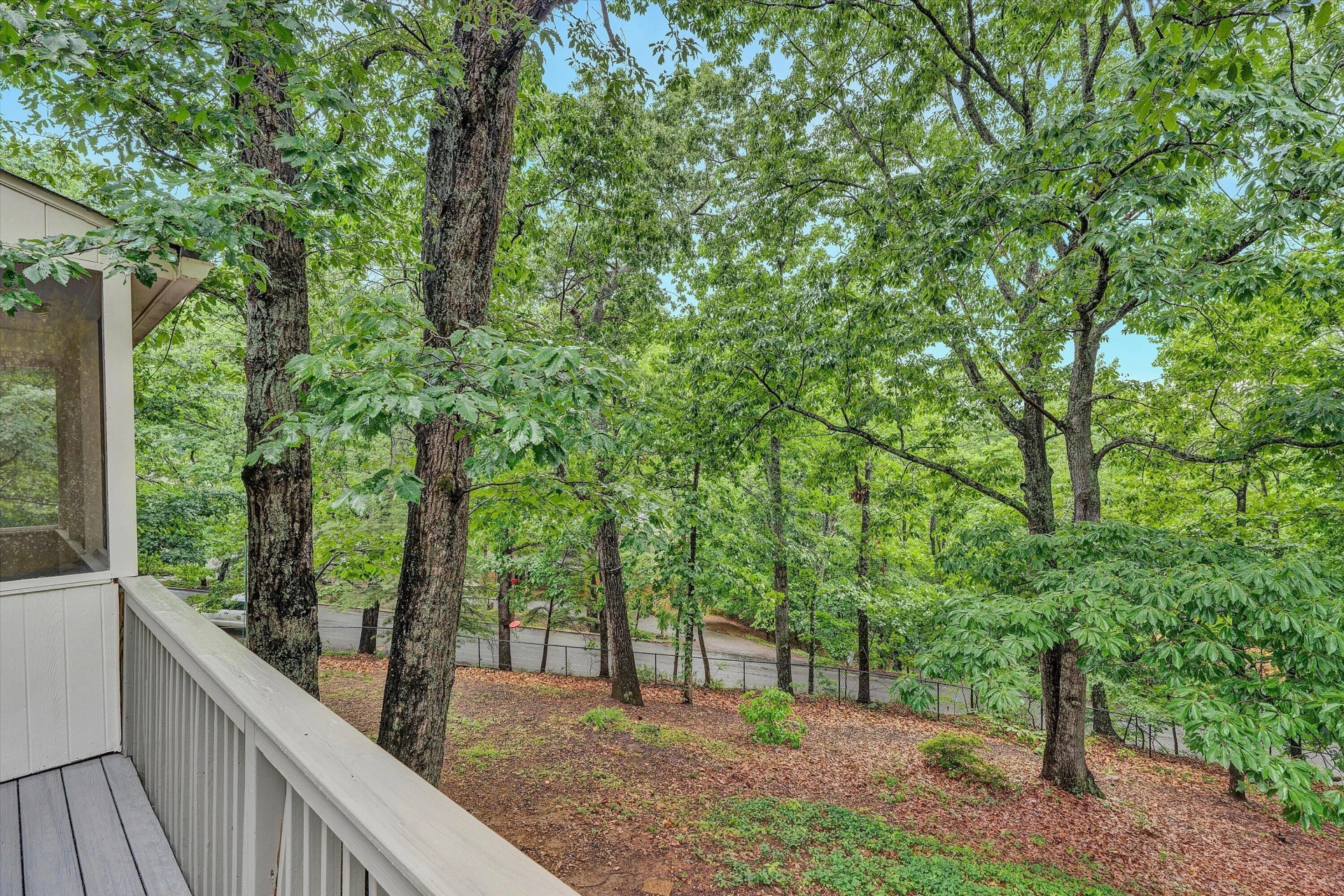 5206 Hawkbill CIR - Photo 18