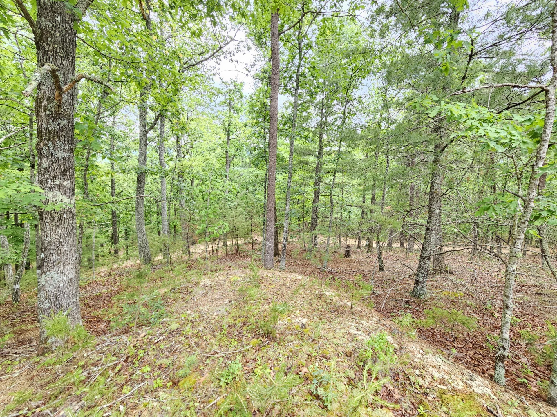 963 Upper Craigs Creek RD - Photo 21