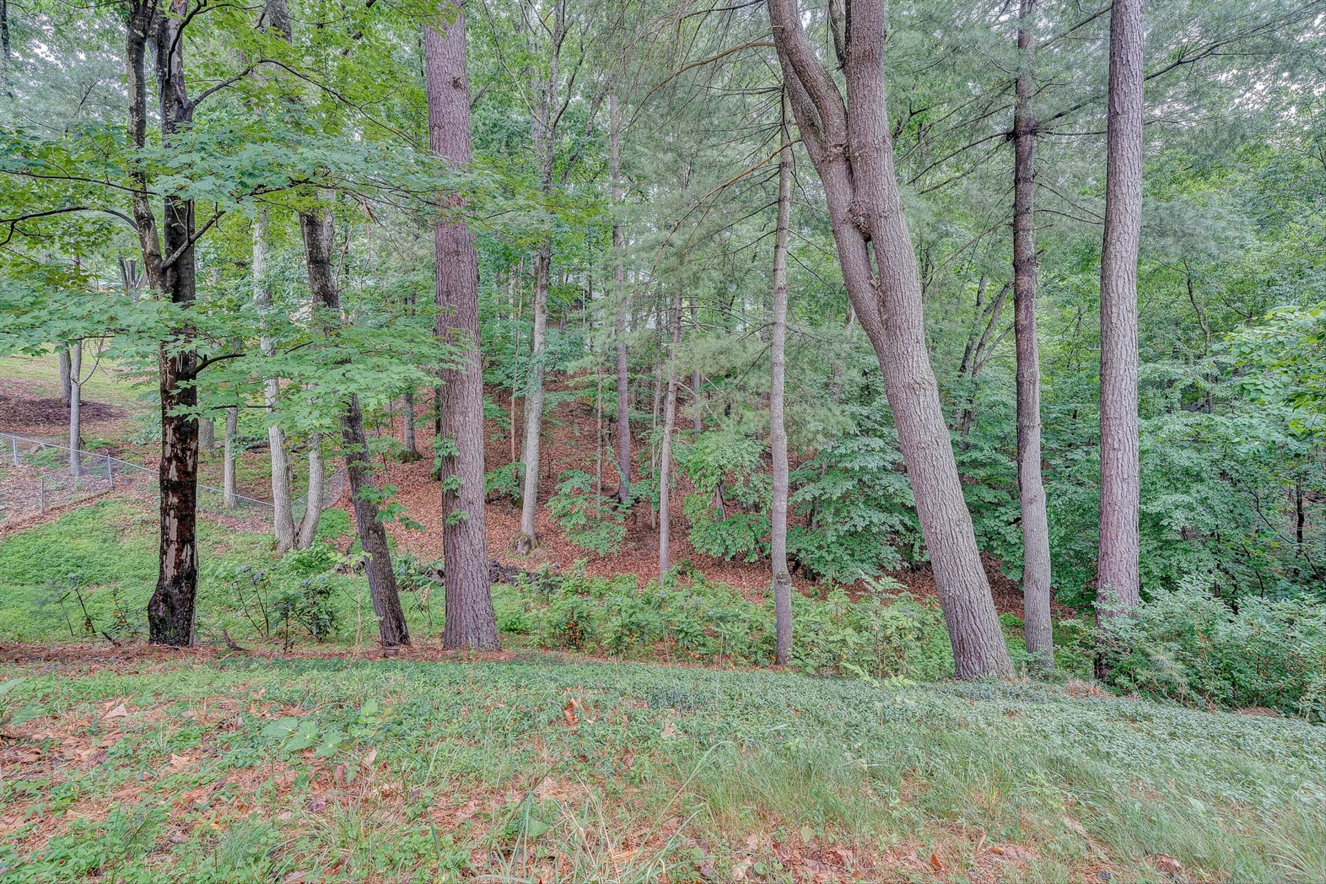 126 Sawyer DR - Photo 48