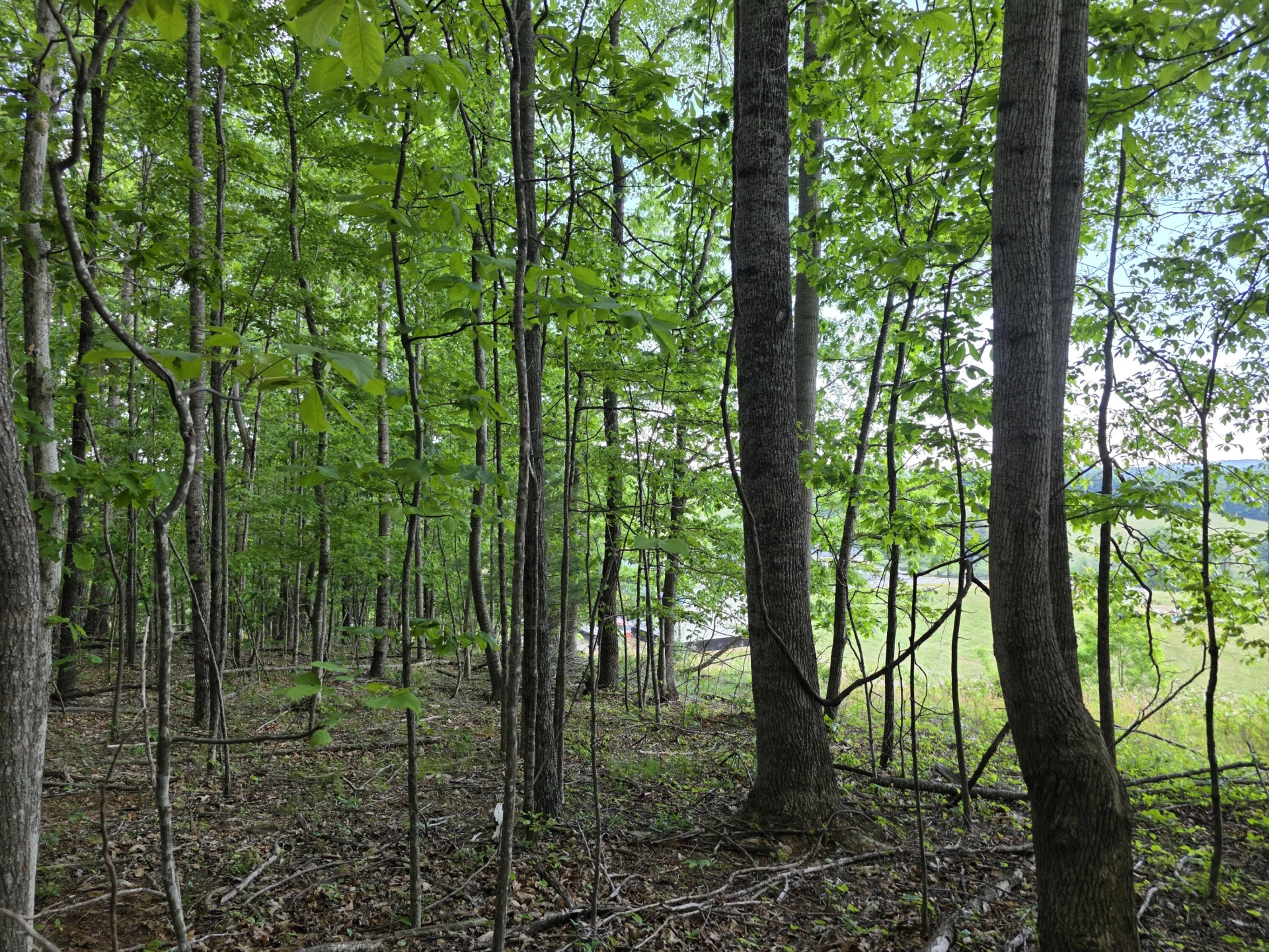 TBD Bent Nail RD - Photo 12