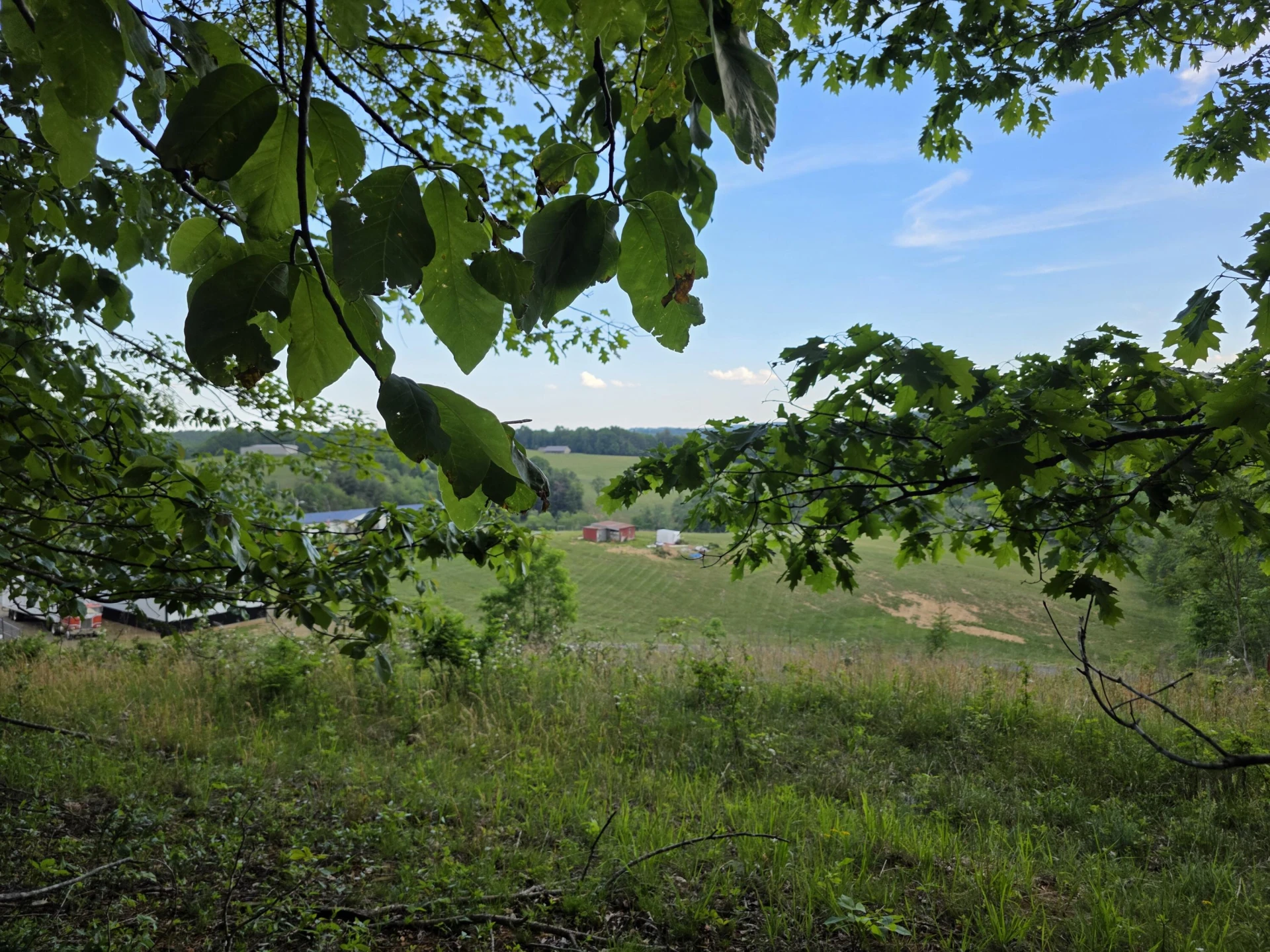 TBD Bent Nail RD - Photo 15