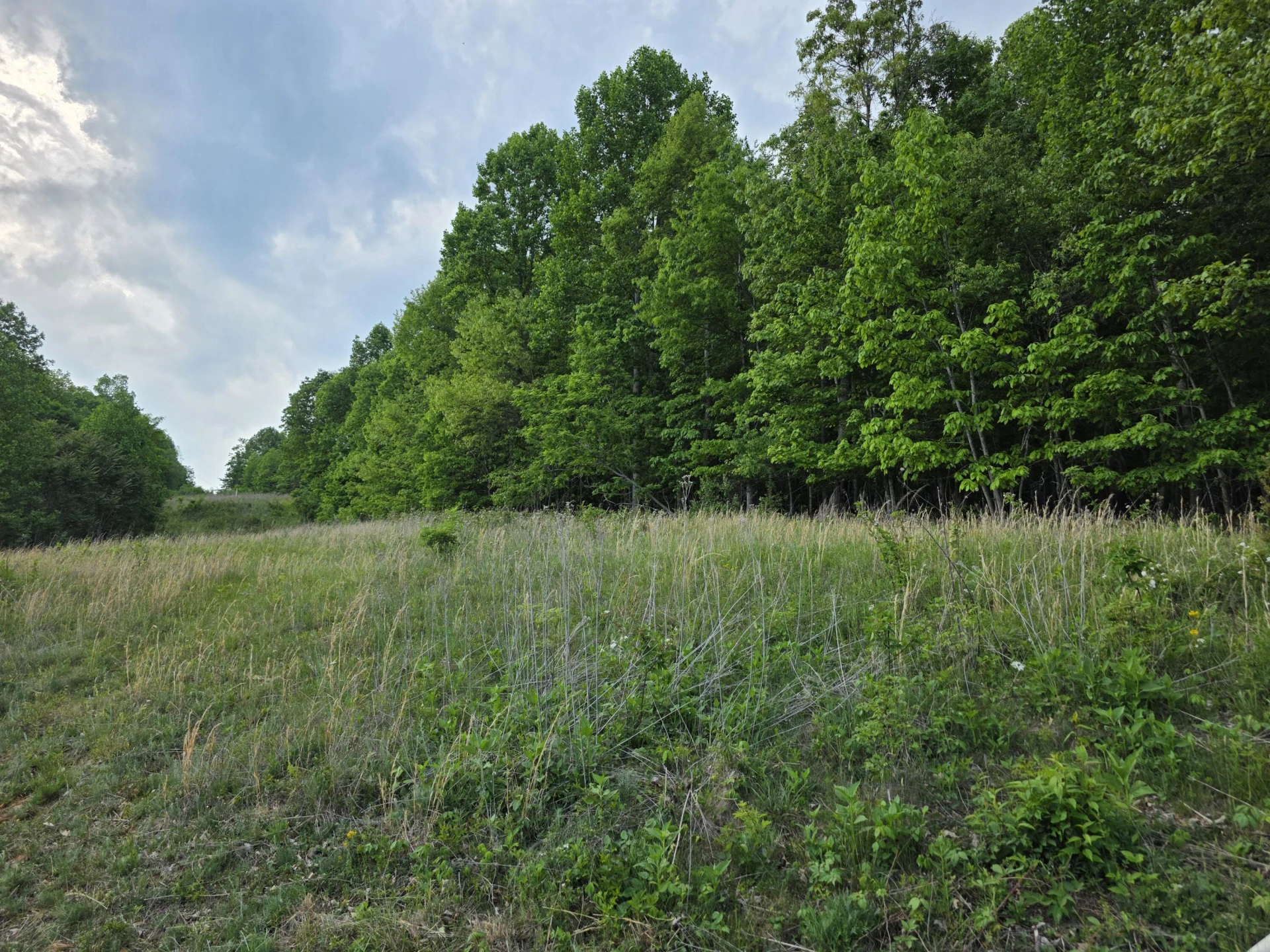 TBD Bent Nail RD - Photo 16
