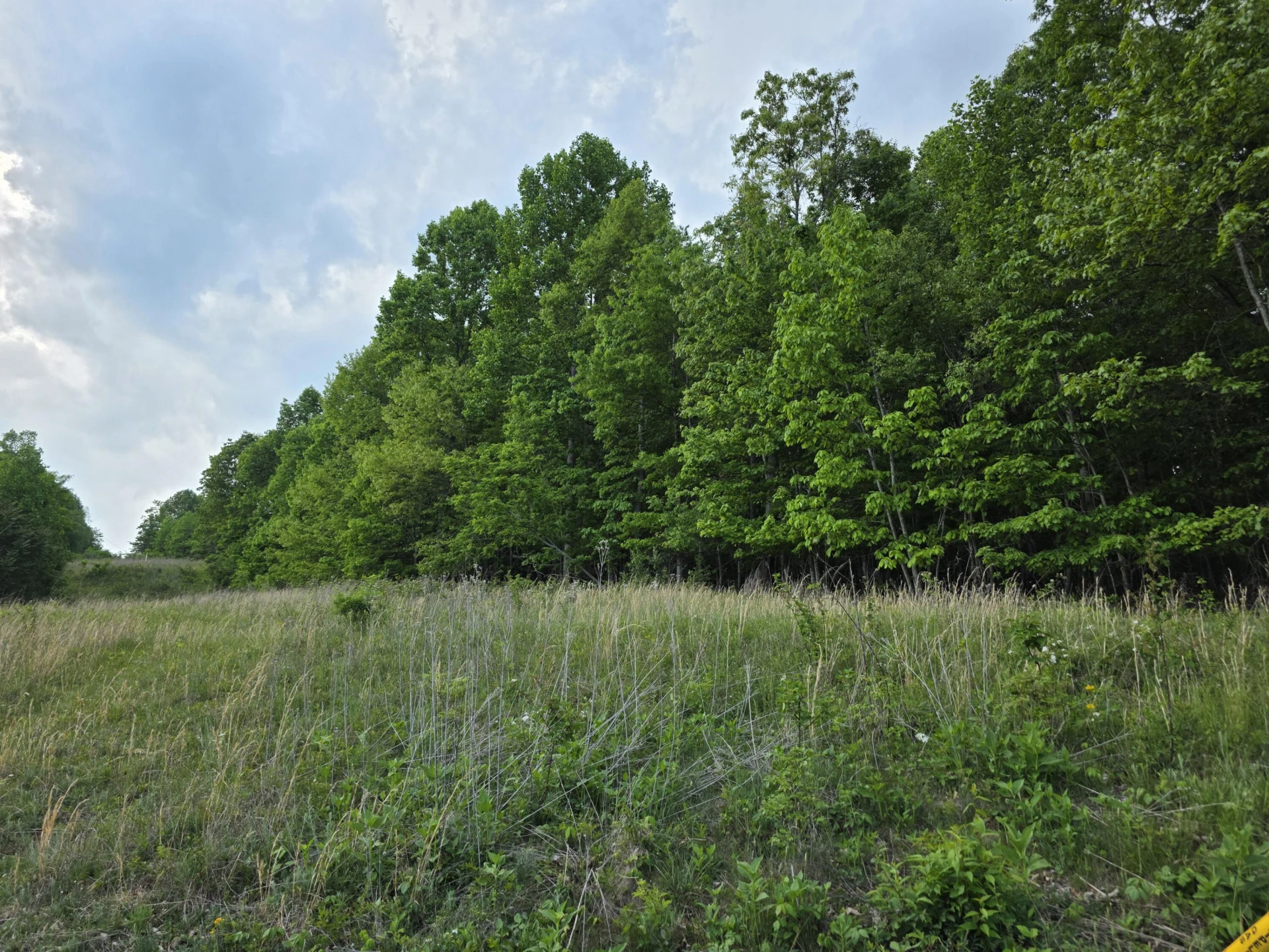TBD Bent Nail RD - Photo 2