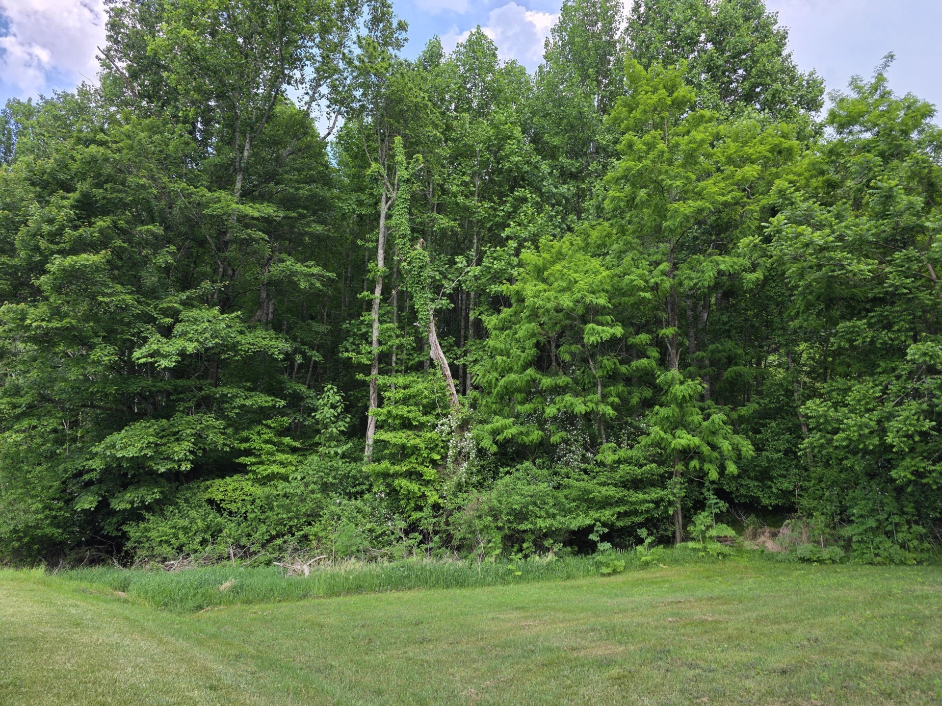 TBD Bent Nail RD - Photo 3