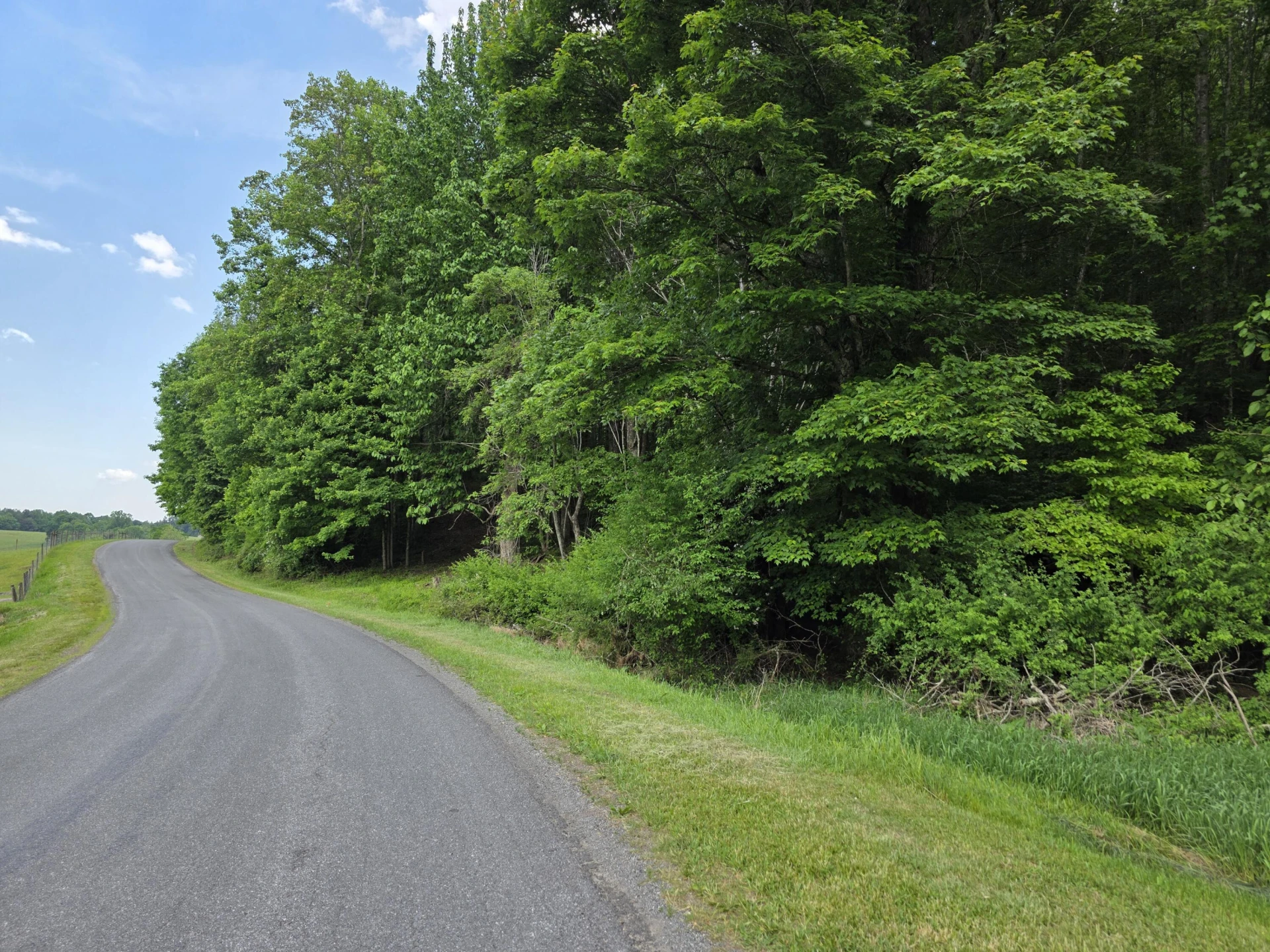TBD Bent Nail RD - Photo 4