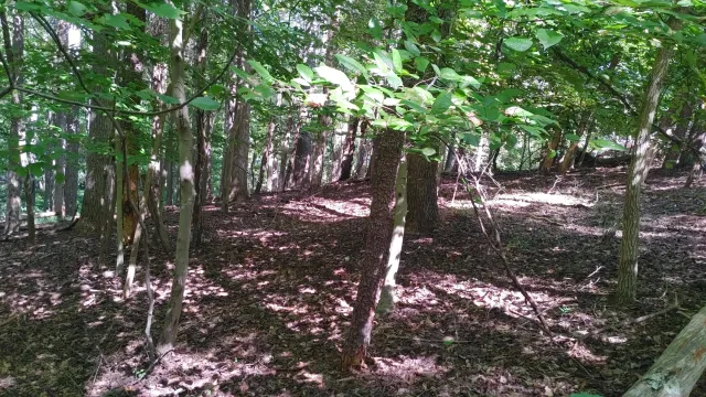 Lot 53 Ridgeway CT, Moneta, VA, 24121