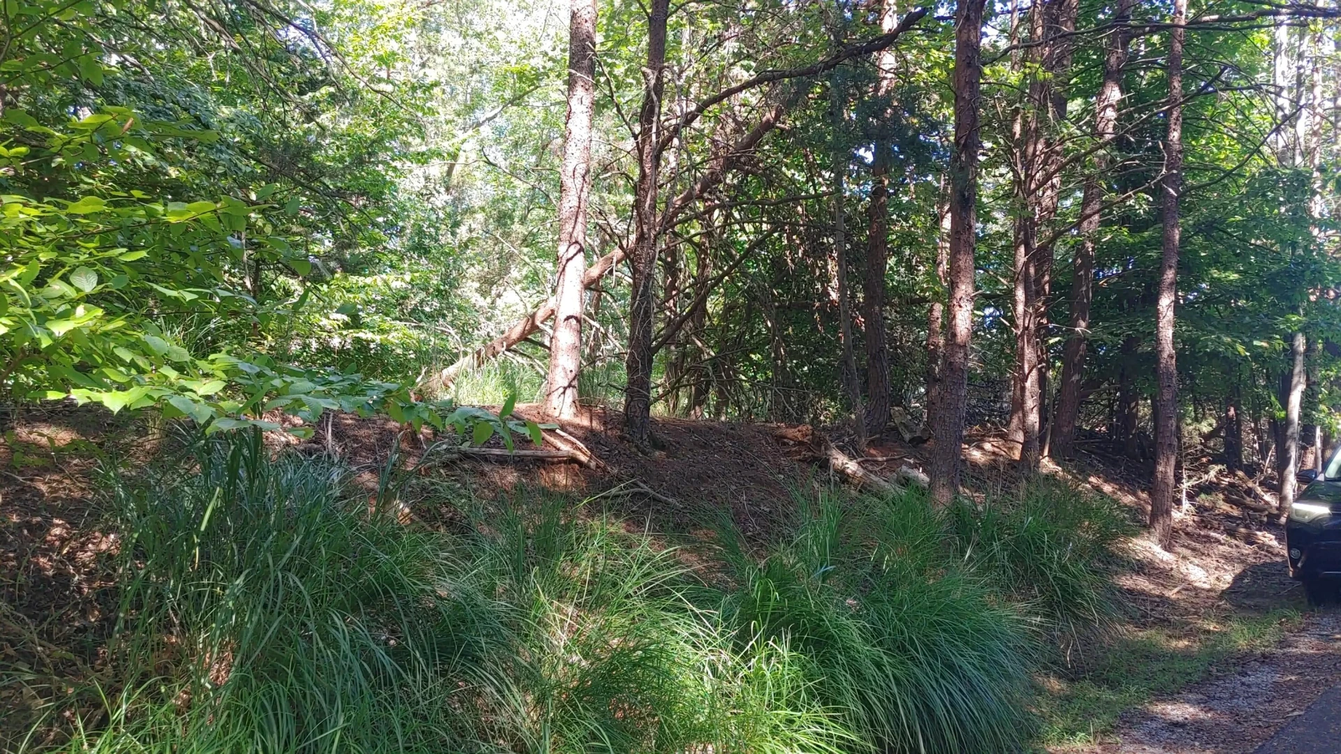 Lot 53 Ridgeway CT - Photo 3