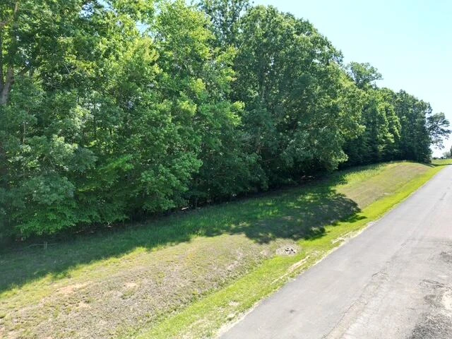 00 Sassafras CT - Photo 3