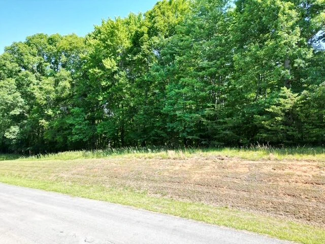 00 Sassafras CT - Photo 2