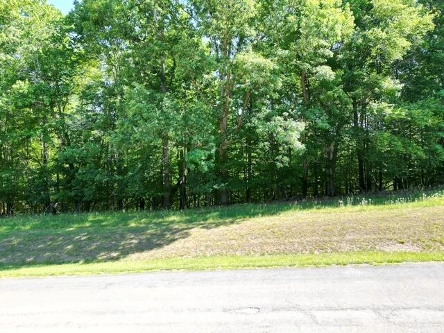 00 Sassafras CT - Photo 4