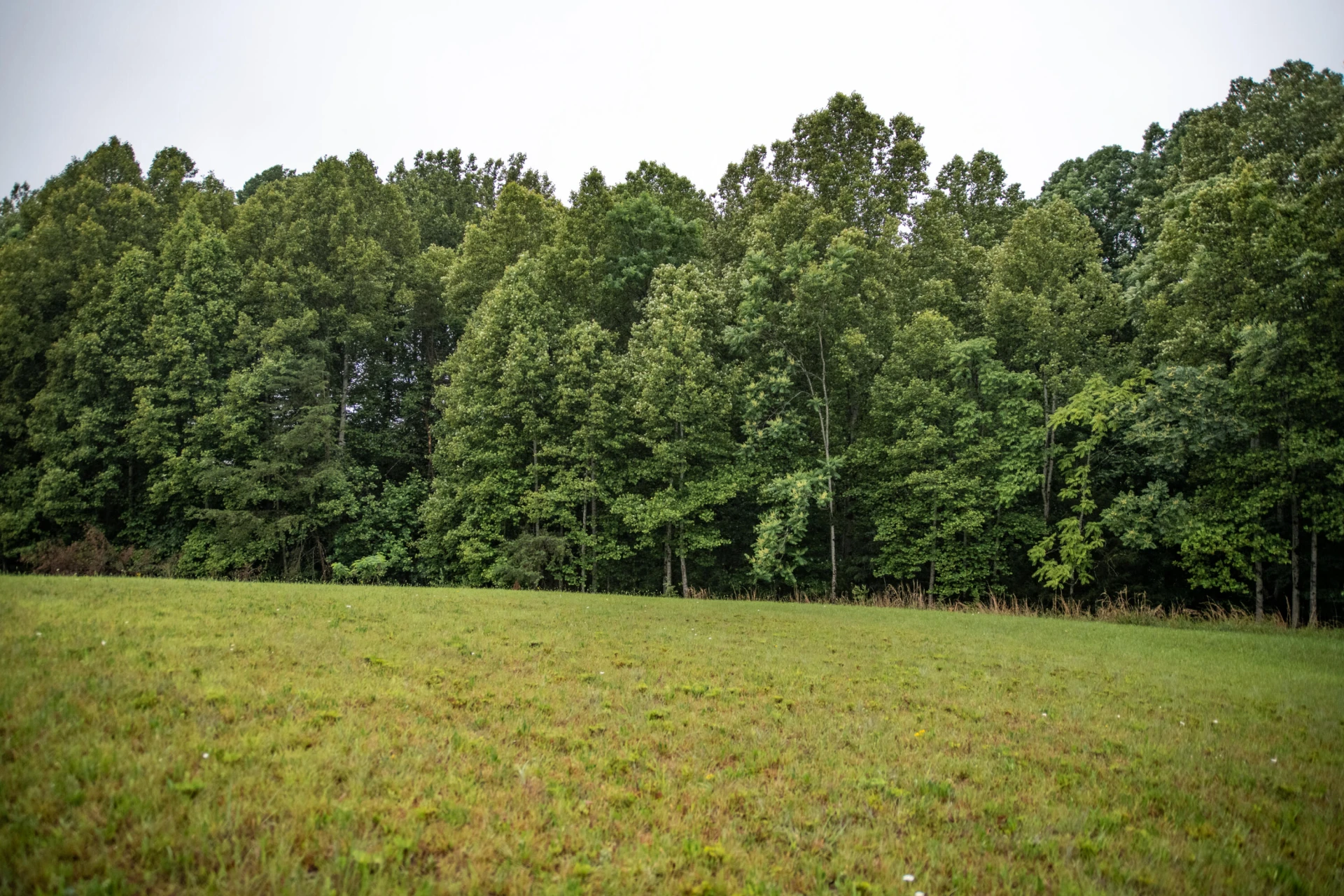 Lot 92 Boardwalk DR - Photo 7