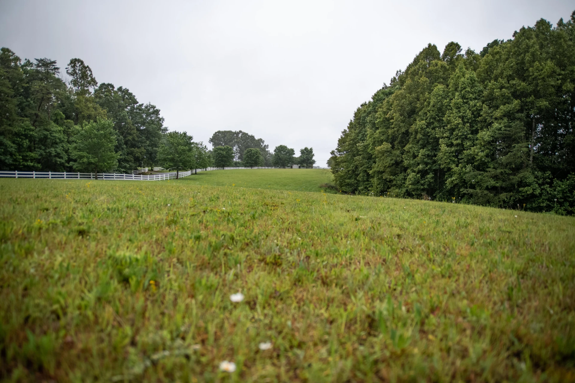 Lot 92 Boardwalk DR - Photo 8