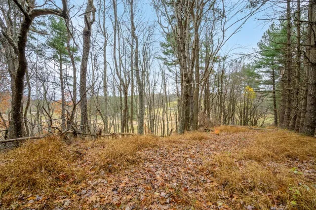 3200 Stonewall RD NE, Pilot, VA, 24138