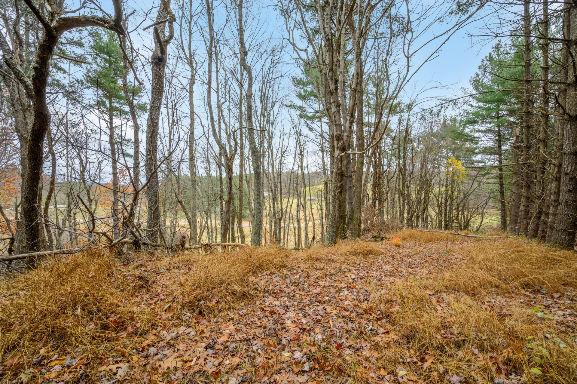 3200 Stonewall RD NE