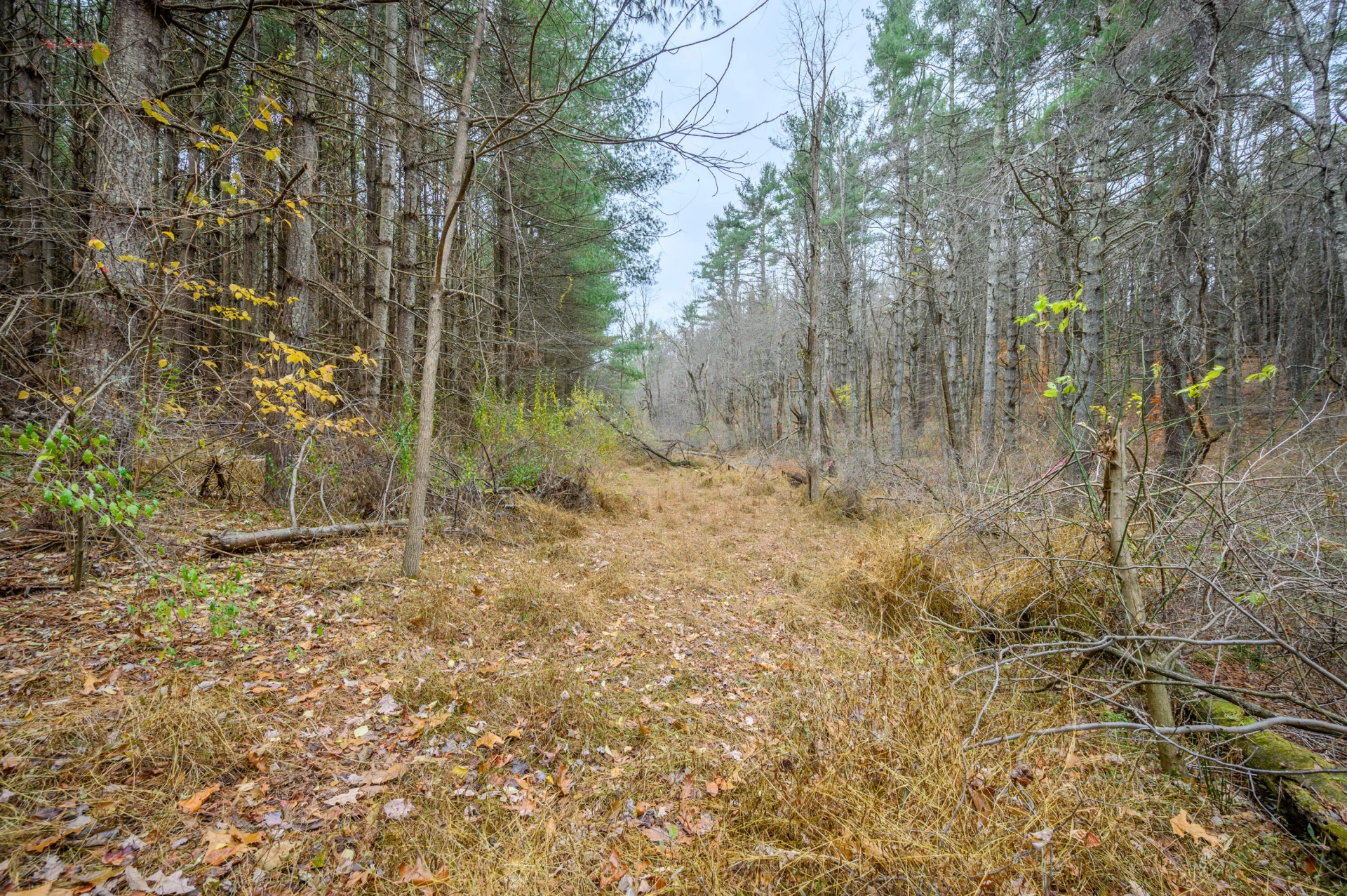 3200 Stonewall RD NE - Photo 10