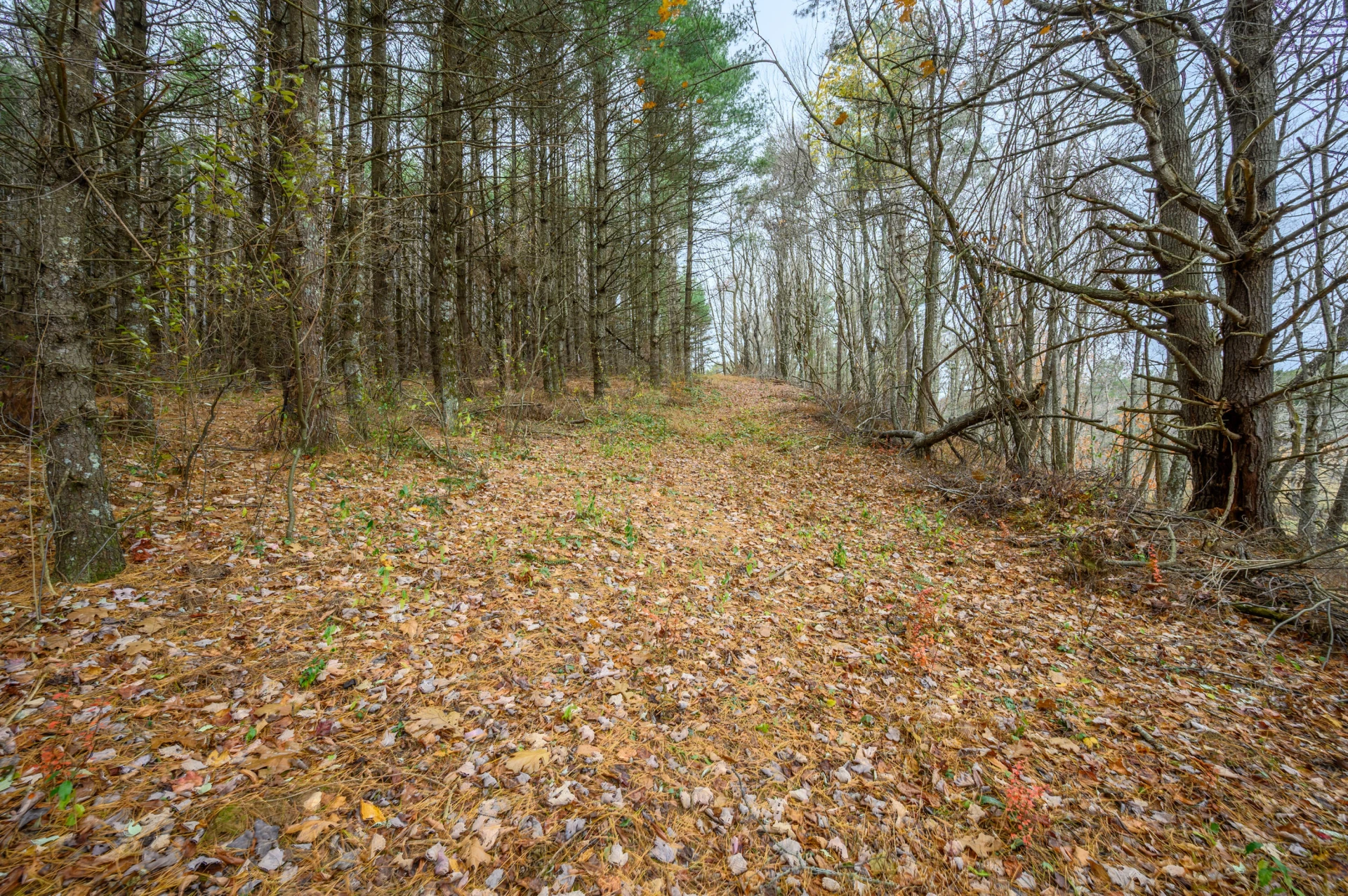 3200 Stonewall RD NE - Photo 7