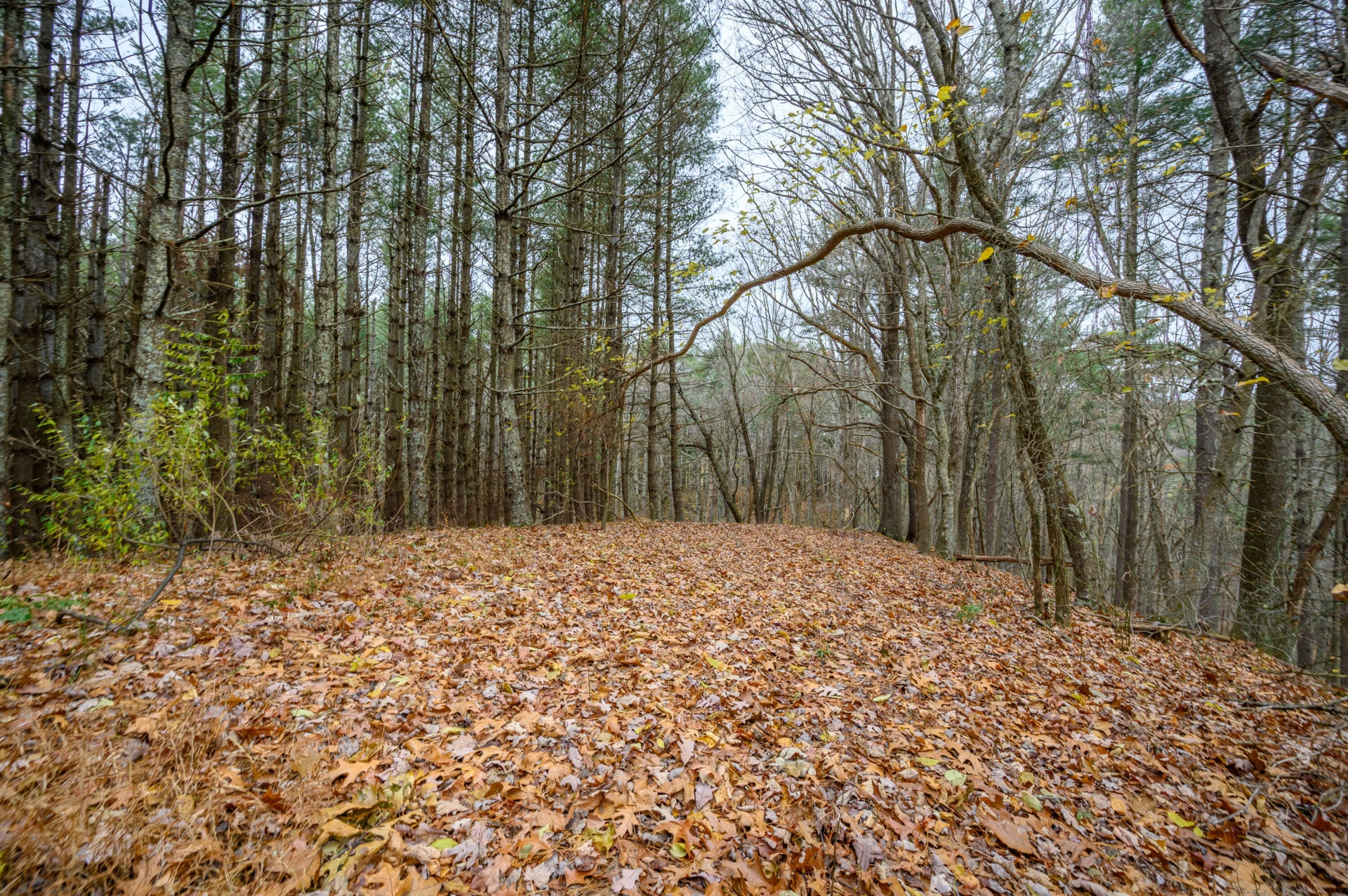 3200 Stonewall RD NE - Photo 8
