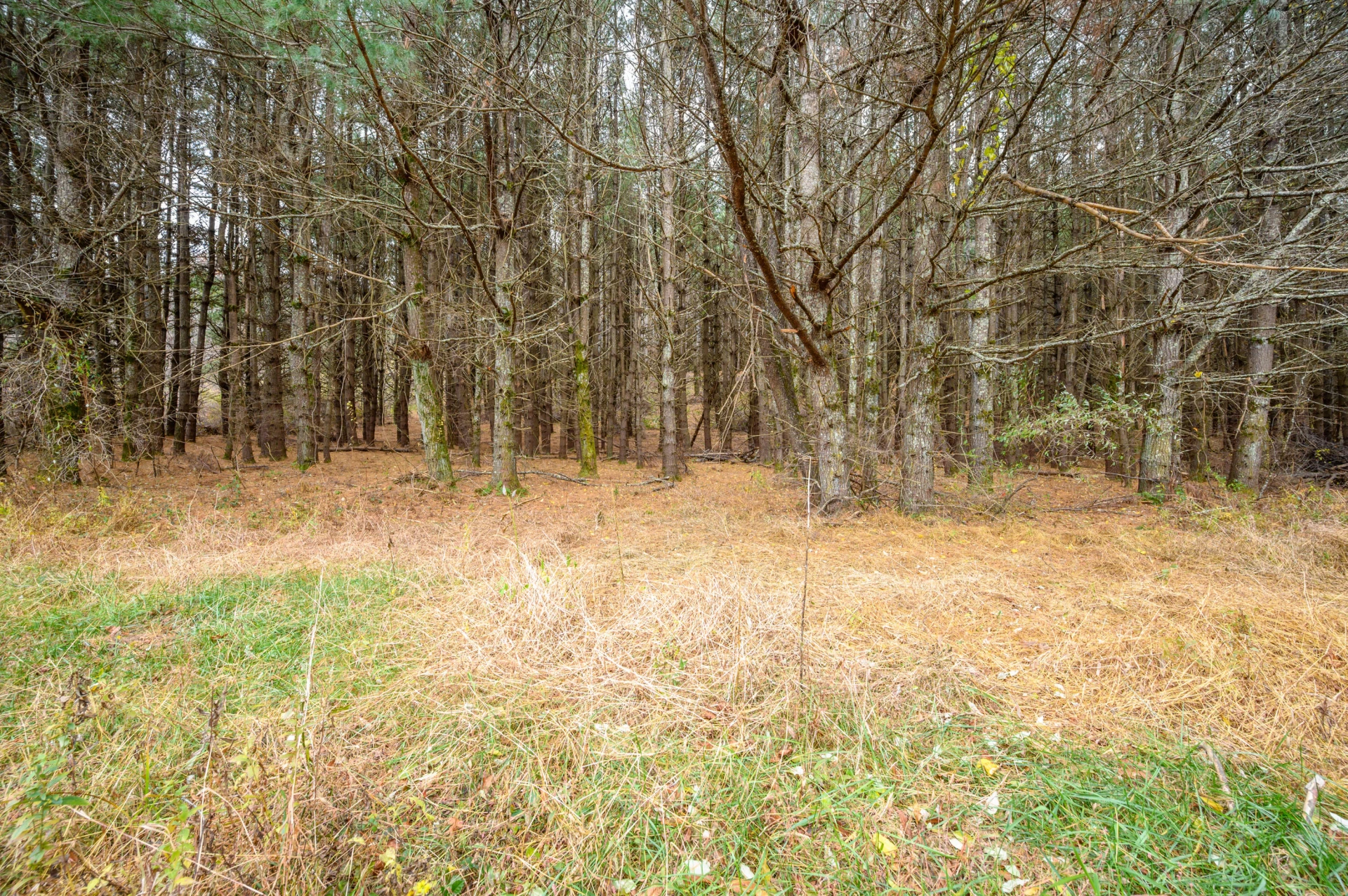 3150 Stonewall RD NE - Photo 4