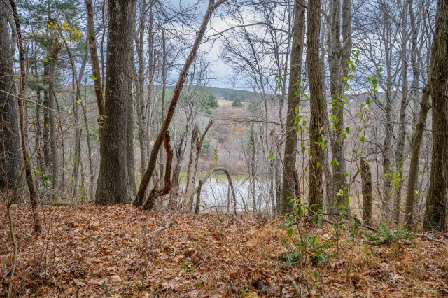 595 Wild Cherry RD NE, Pilot, VA, 24138