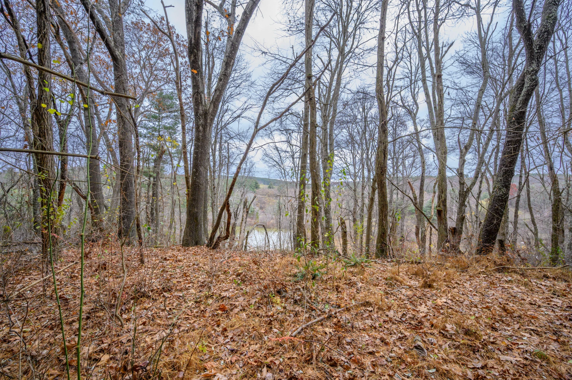 595 Wild Cherry RD NE - Photo 10