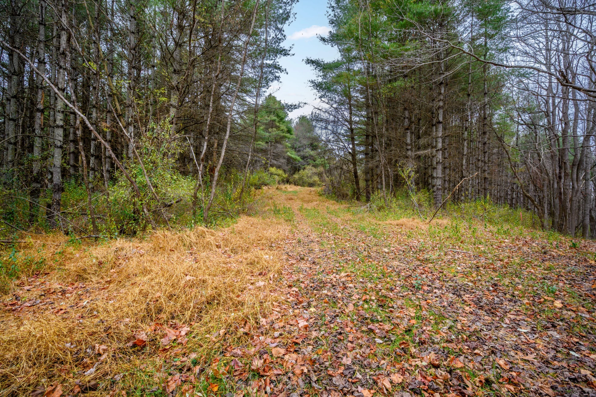 595 Wild Cherry RD NE - Photo 2